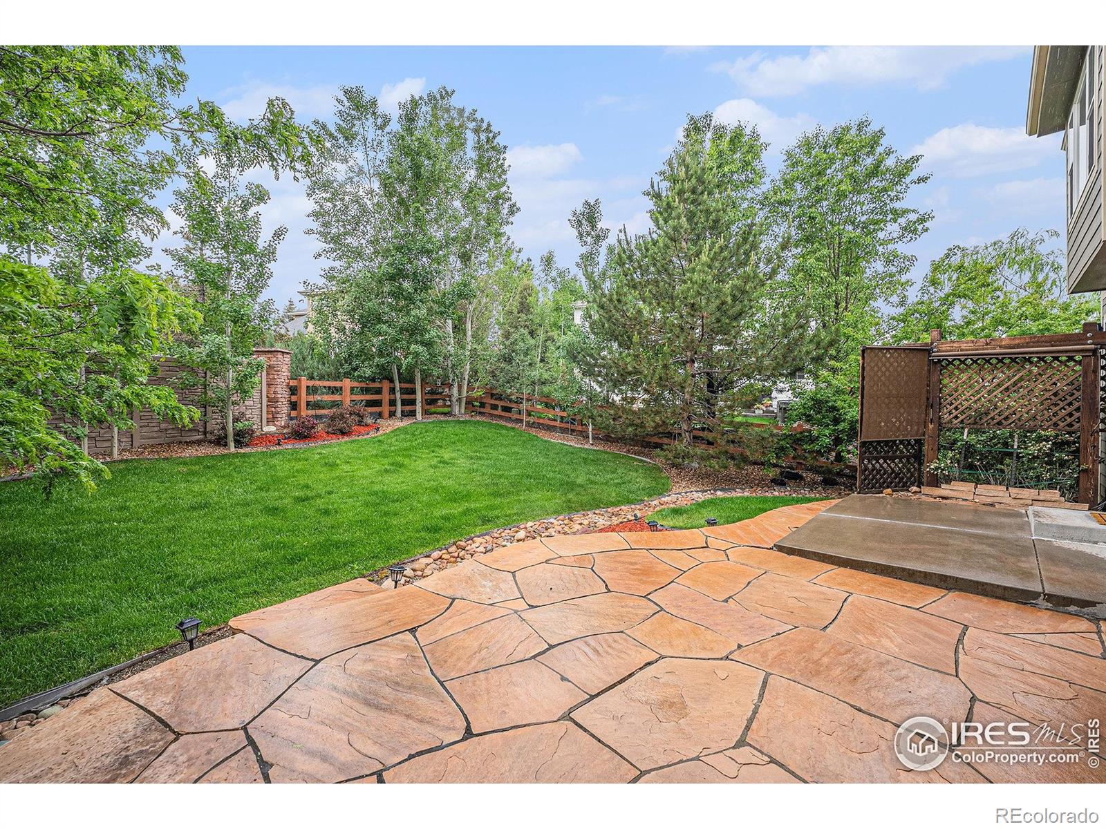 MLS Image #3 for 4910  crimson star drive,broomfield, Colorado
