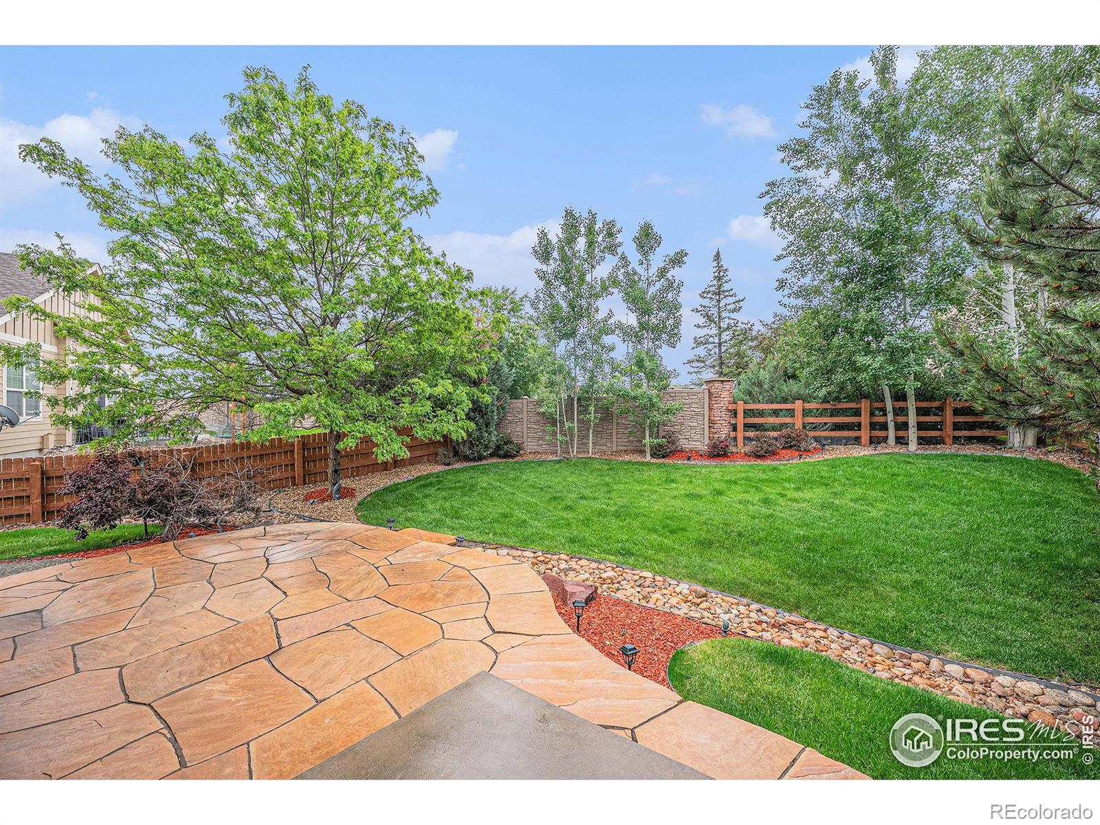 MLS Image #4 for 4910  crimson star drive,broomfield, Colorado