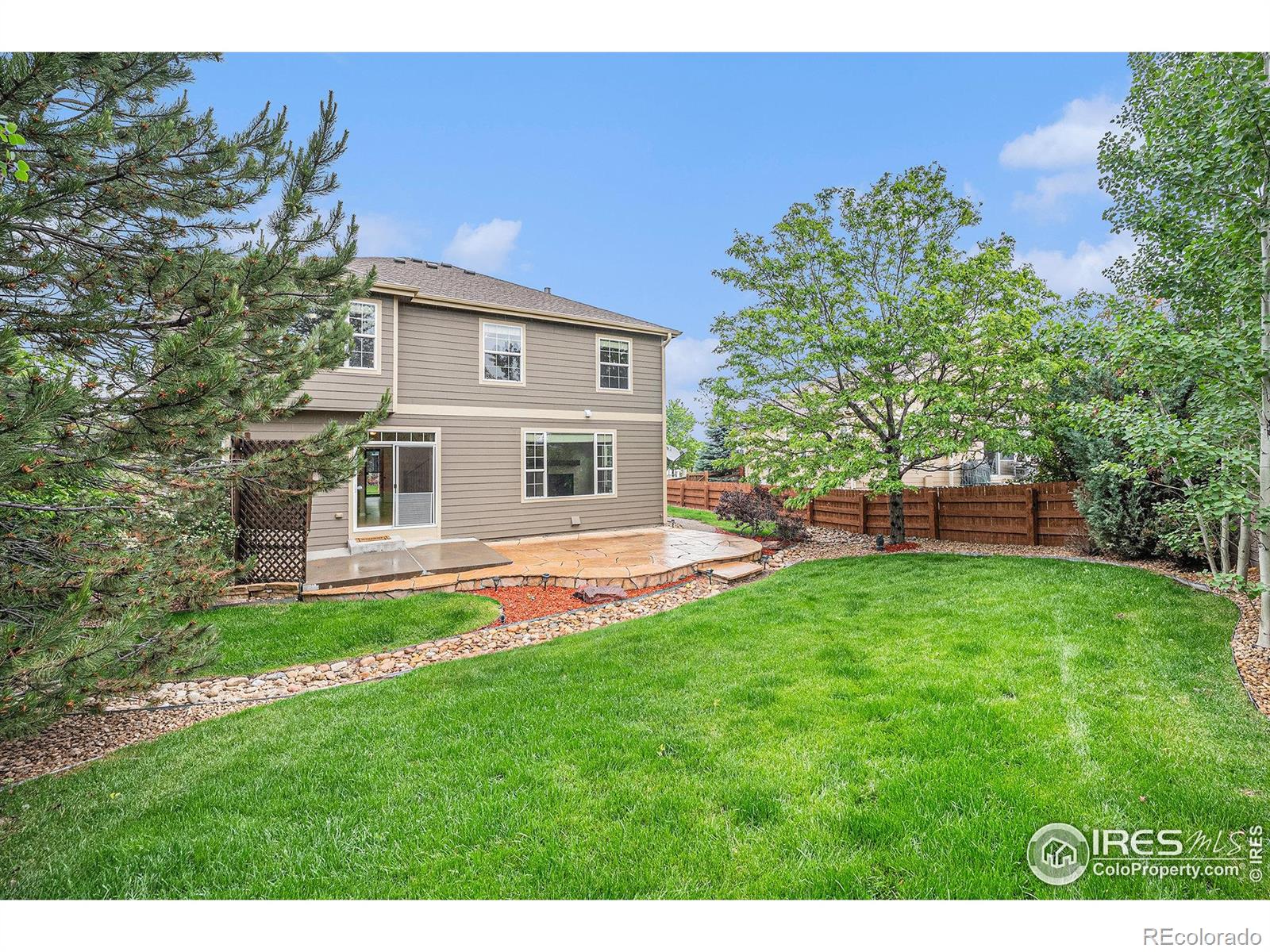 MLS Image #5 for 4910  crimson star drive,broomfield, Colorado