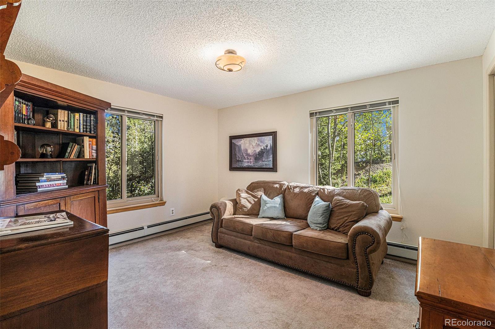 MLS Image #13 for 31084  kings valley drive,conifer, Colorado