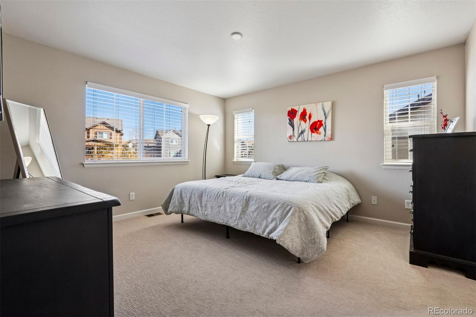 MLS Image #14 for 655  tiger lily way,highlands ranch, Colorado
