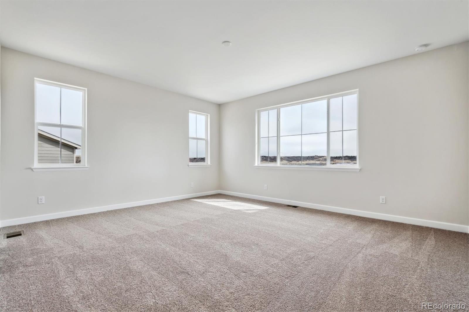 MLS Image #9 for 4990  hickory oaks street,castle rock, Colorado