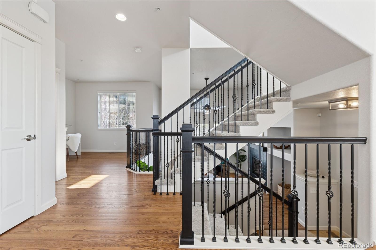 MLS Image #12 for 9456  rockhurst street,highlands ranch, Colorado