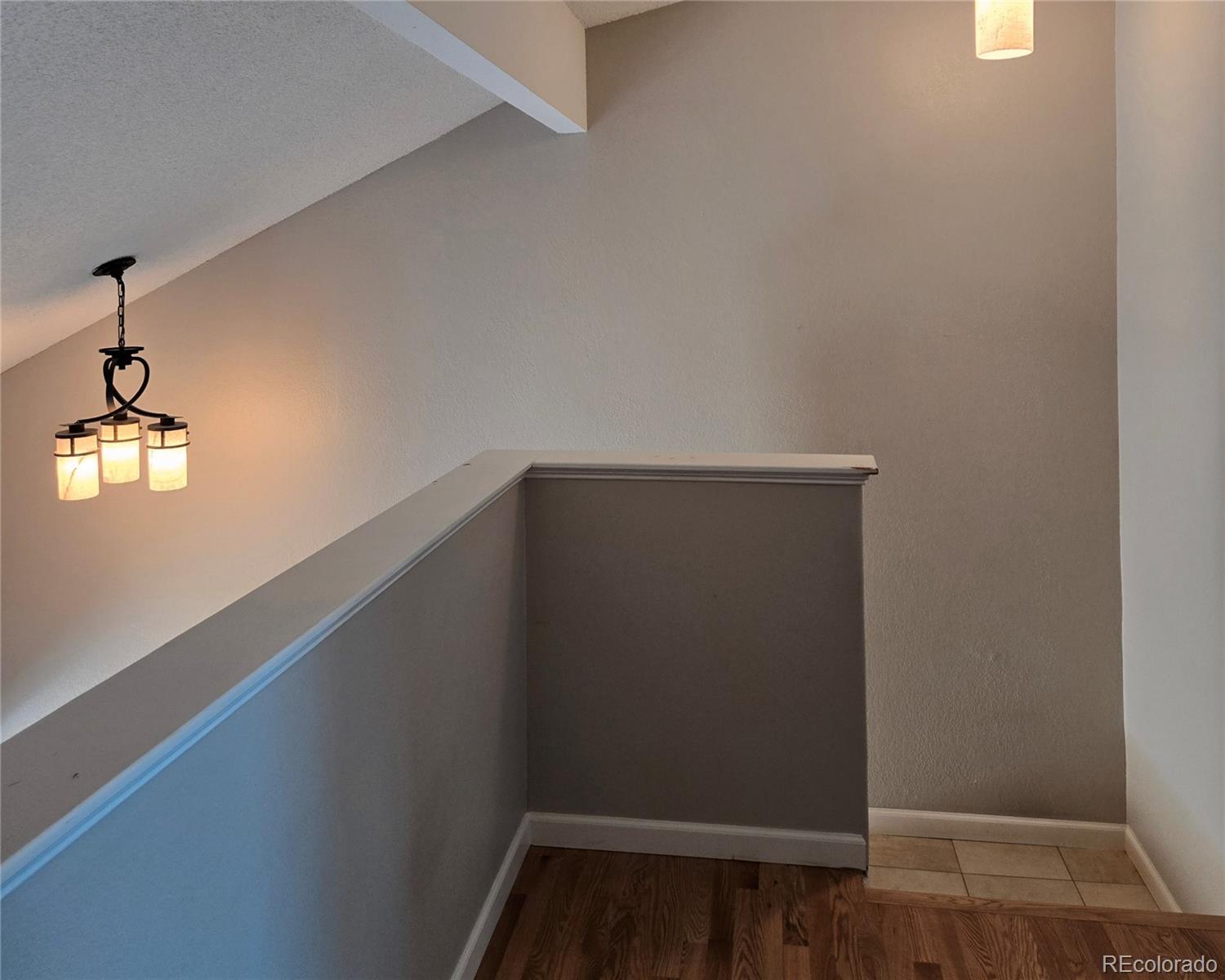 MLS Image #14 for 886  summer drive,highlands ranch, Colorado