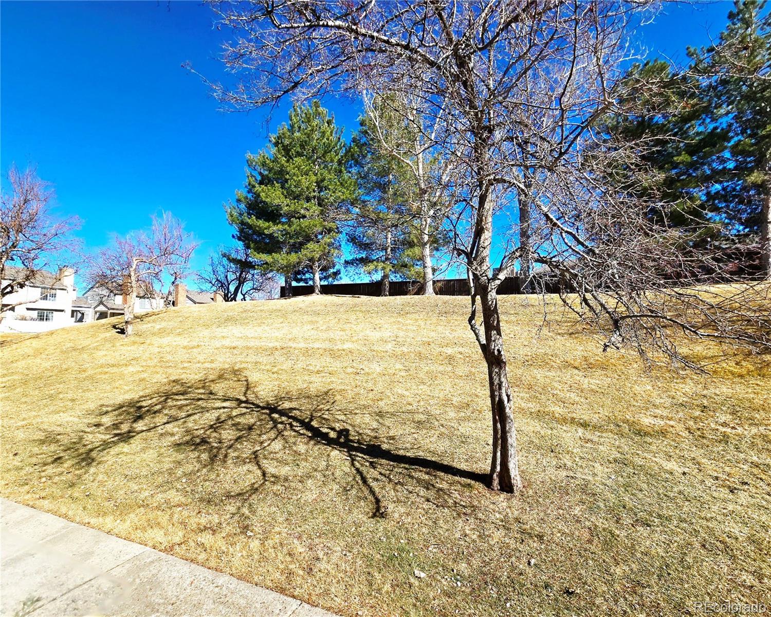 MLS Image #22 for 886  summer drive,highlands ranch, Colorado