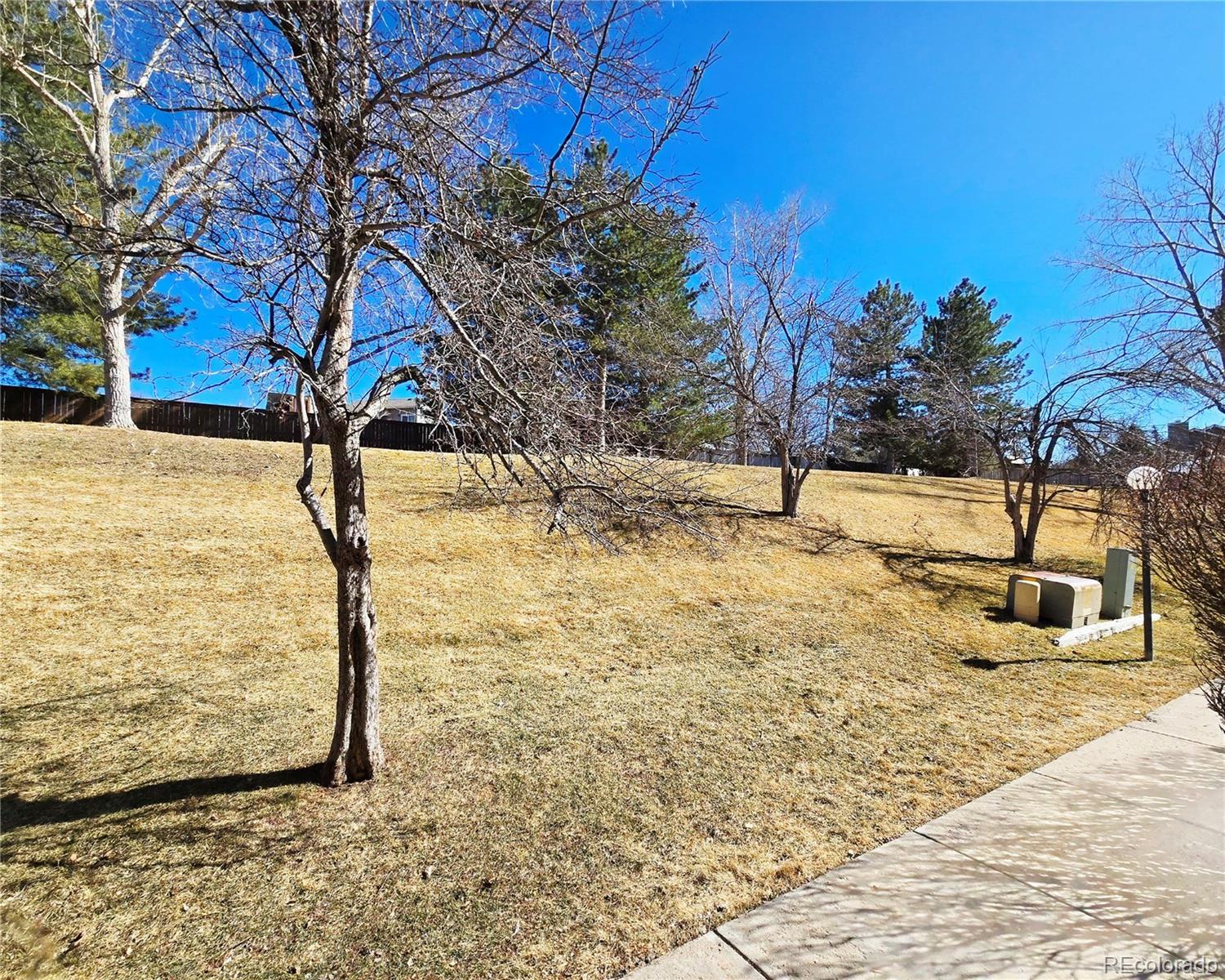 MLS Image #23 for 886  summer drive,highlands ranch, Colorado