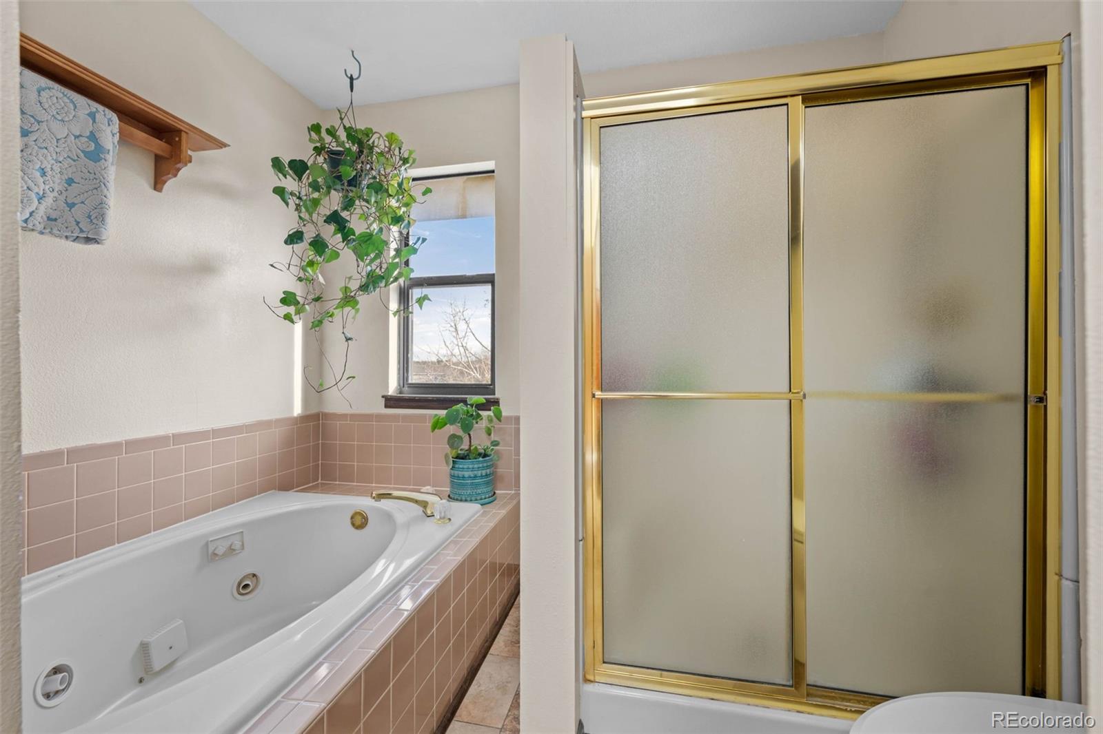 MLS Image #22 for 44011  morning star court,elizabeth, Colorado