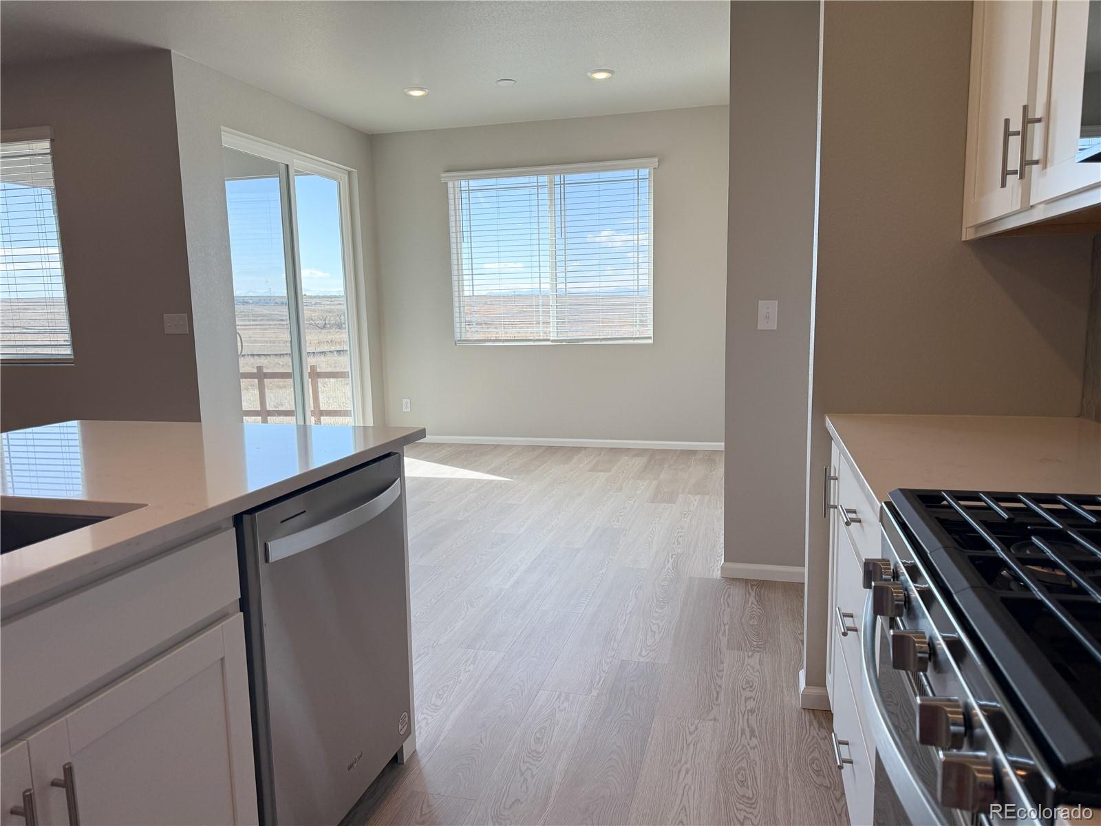 MLS Image #17 for 8945  rifle street,commerce city, Colorado