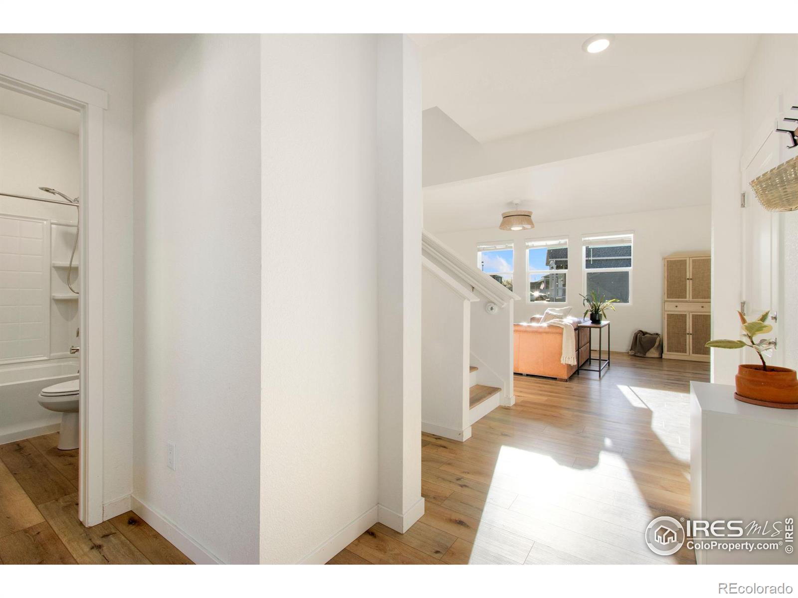 MLS Image #3 for 481  3rd street,severance, Colorado