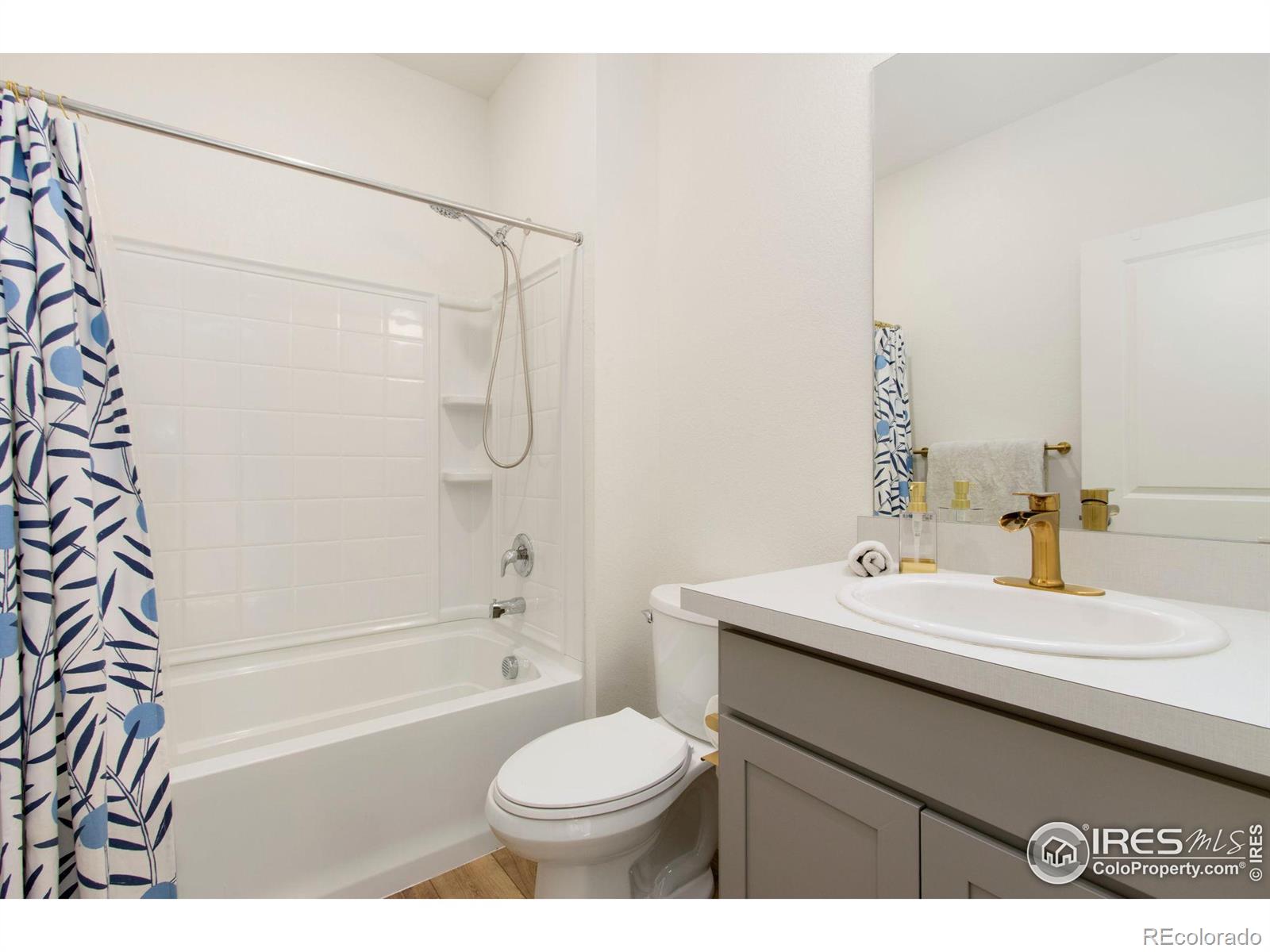MLS Image #5 for 481  3rd street,severance, Colorado