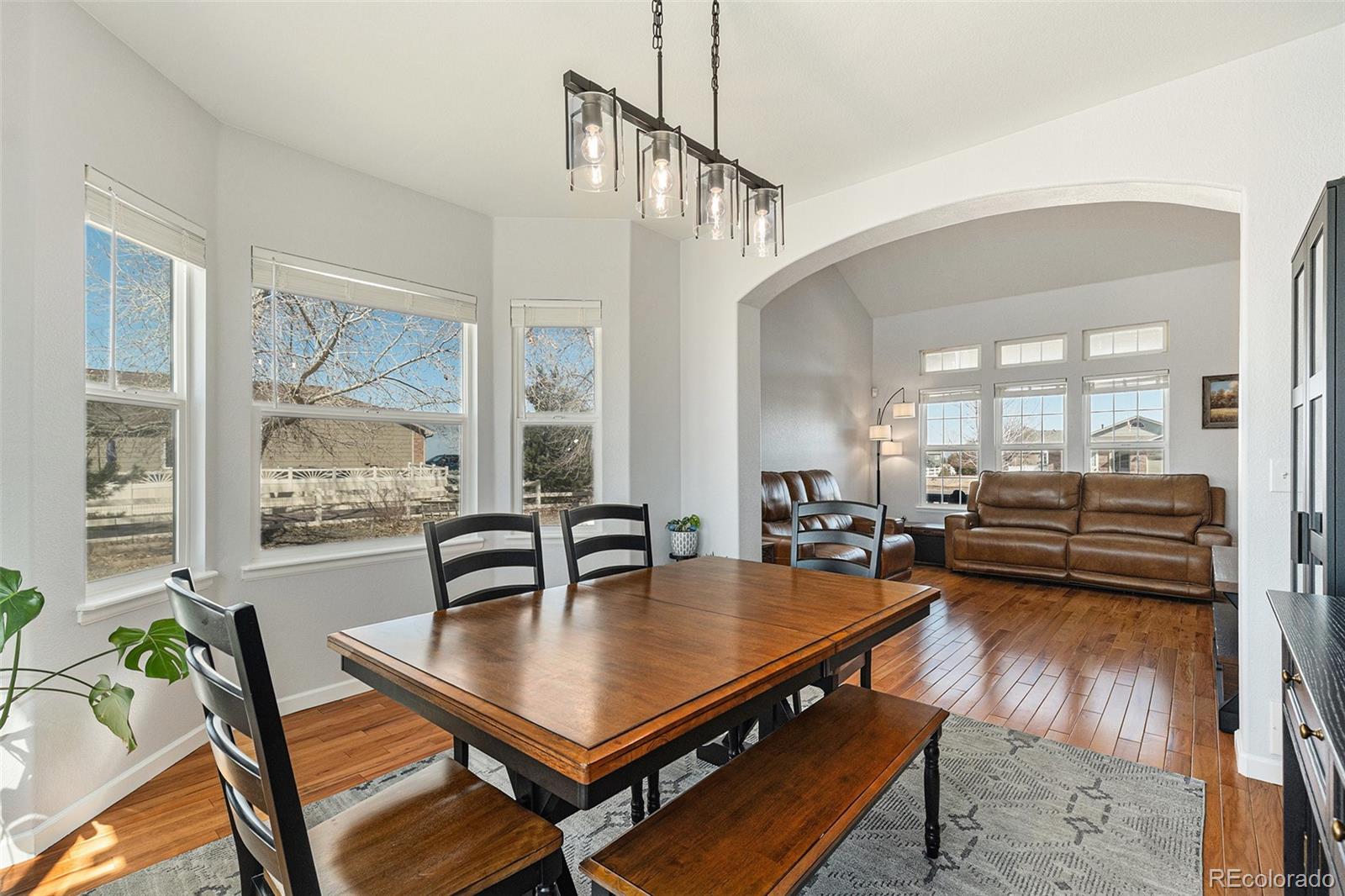 MLS Image #4 for 16651  tree haven street,hudson, Colorado