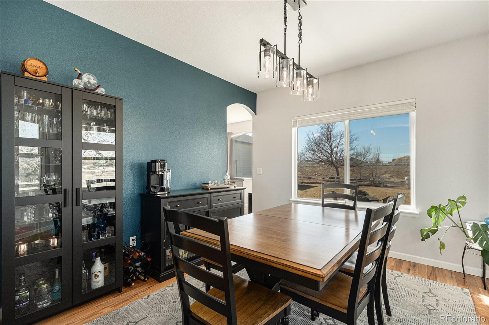 MLS Image #5 for 16651  tree haven street,hudson, Colorado