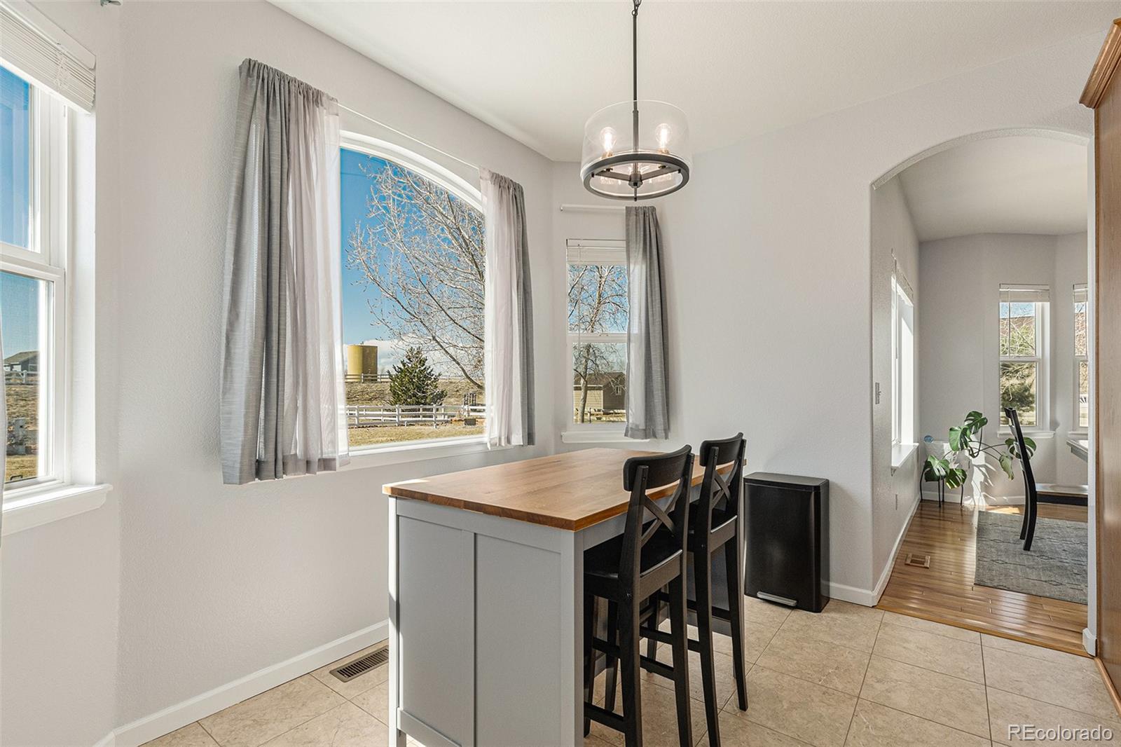 MLS Image #9 for 16651  tree haven street,hudson, Colorado