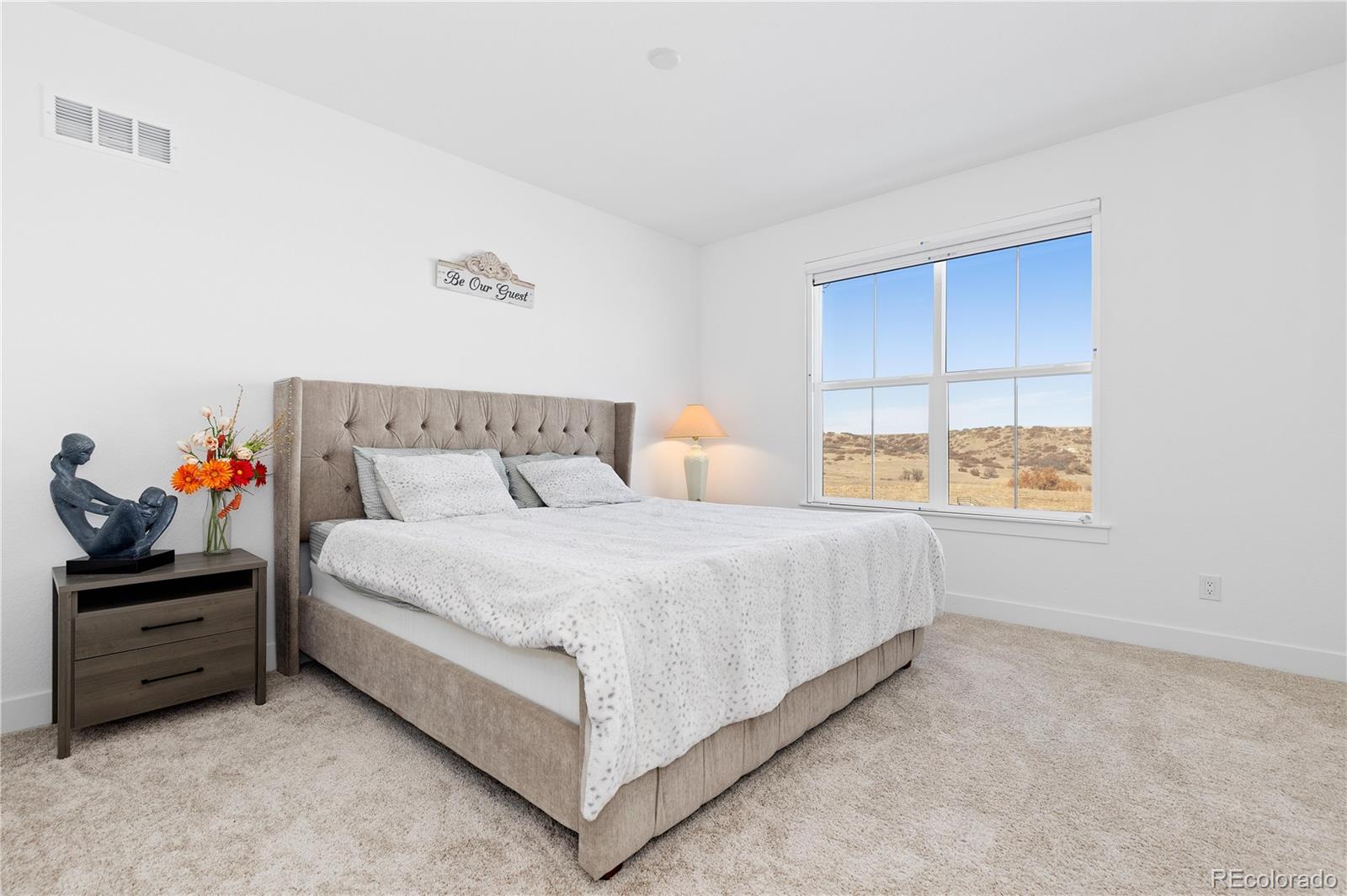 MLS Image #12 for 7517  copper sky court,castle pines, Colorado