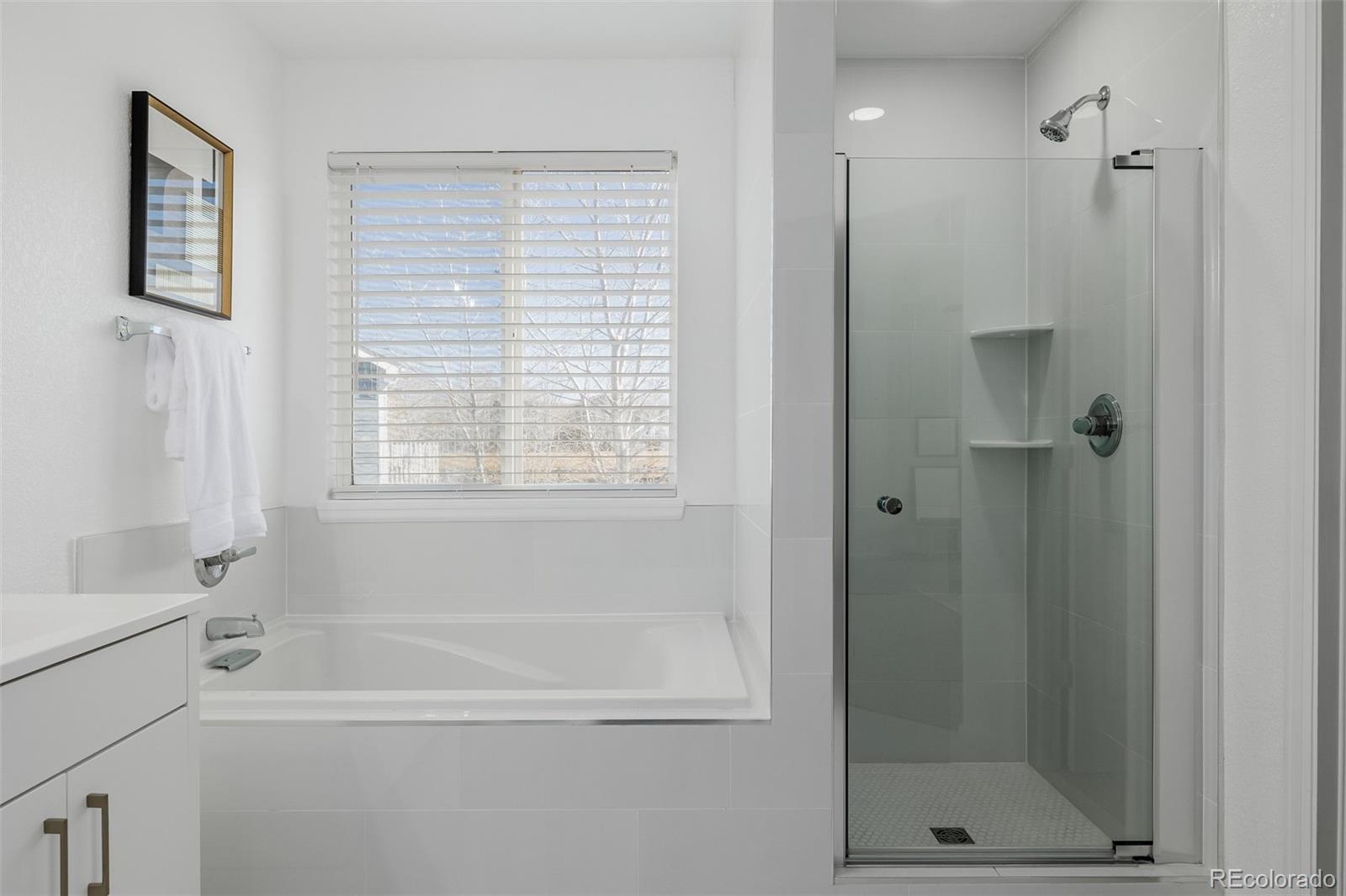 MLS Image #22 for 2954 e 108th drive,northglenn, Colorado