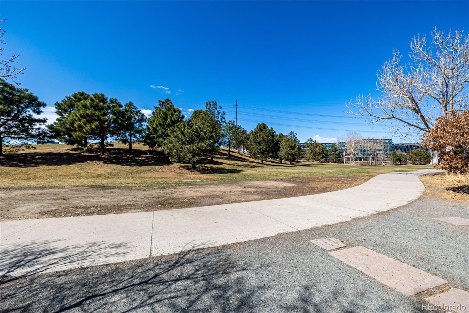 MLS Image #36 for 1700  bassett street,denver, Colorado