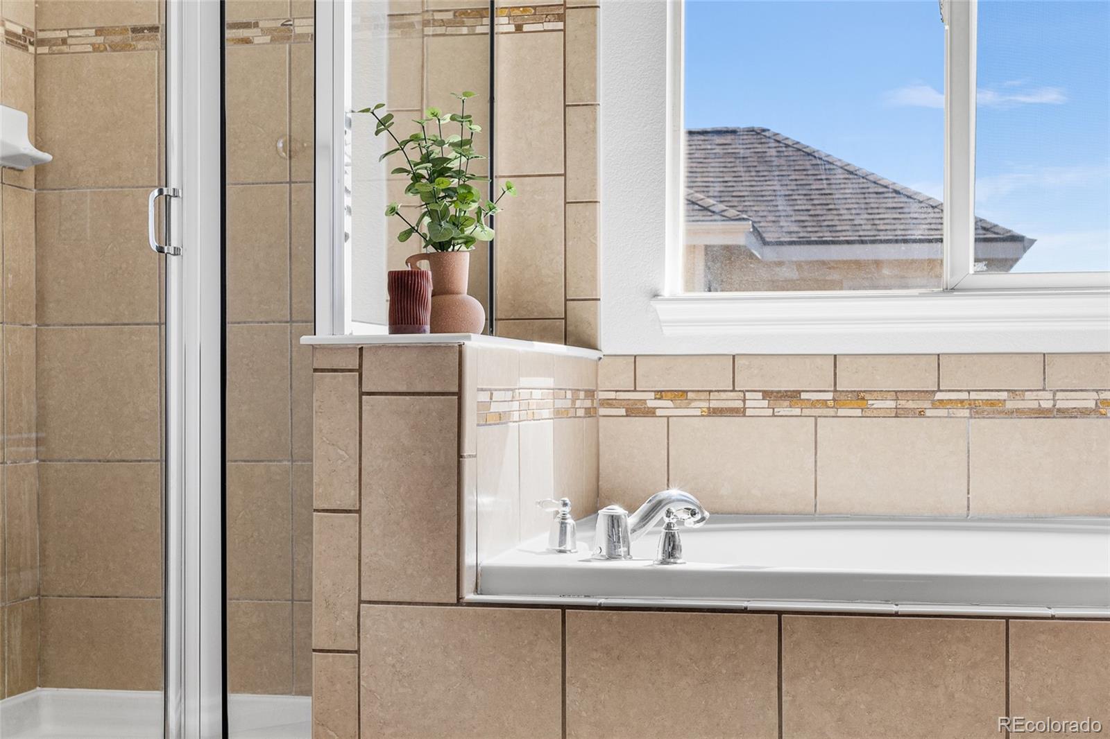 MLS Image #10 for 10565  wildhurst circle,highlands ranch, Colorado