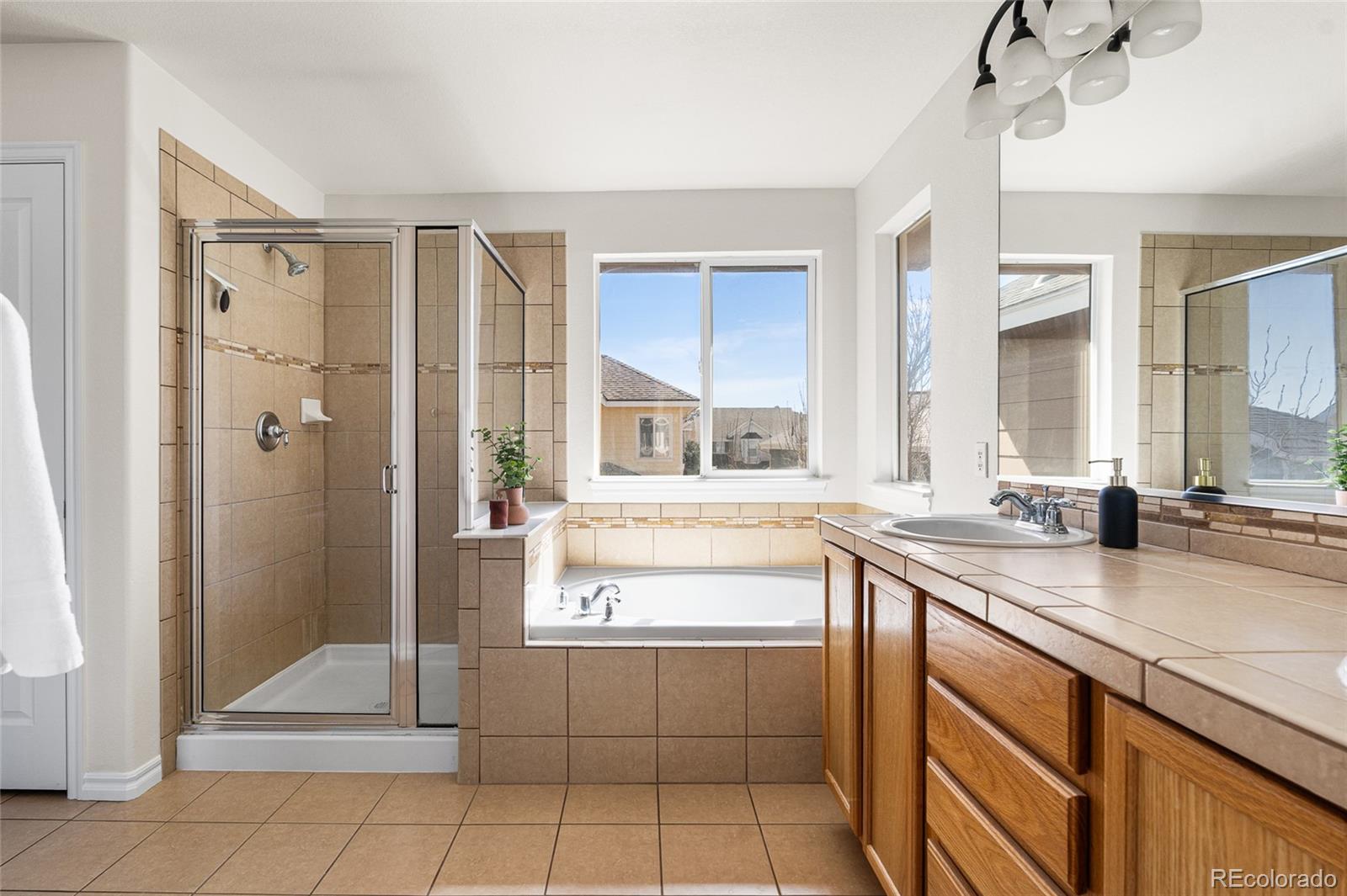 MLS Image #9 for 10565  wildhurst circle,highlands ranch, Colorado