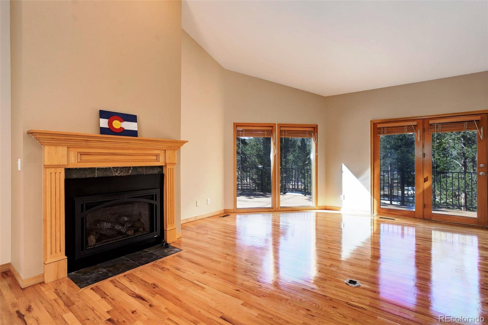 MLS Image #13 for 9299  william cody drive,evergreen, Colorado