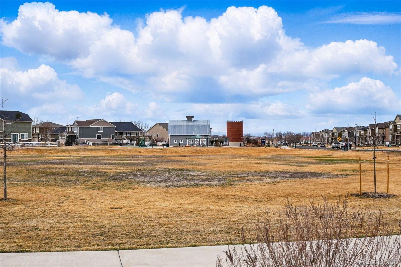 MLS Image #28 for 745  penstemon drive,henderson, Colorado
