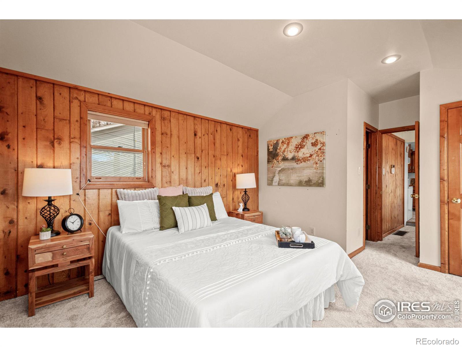 MLS Image #20 for 220  stickney avenue,lyons, Colorado