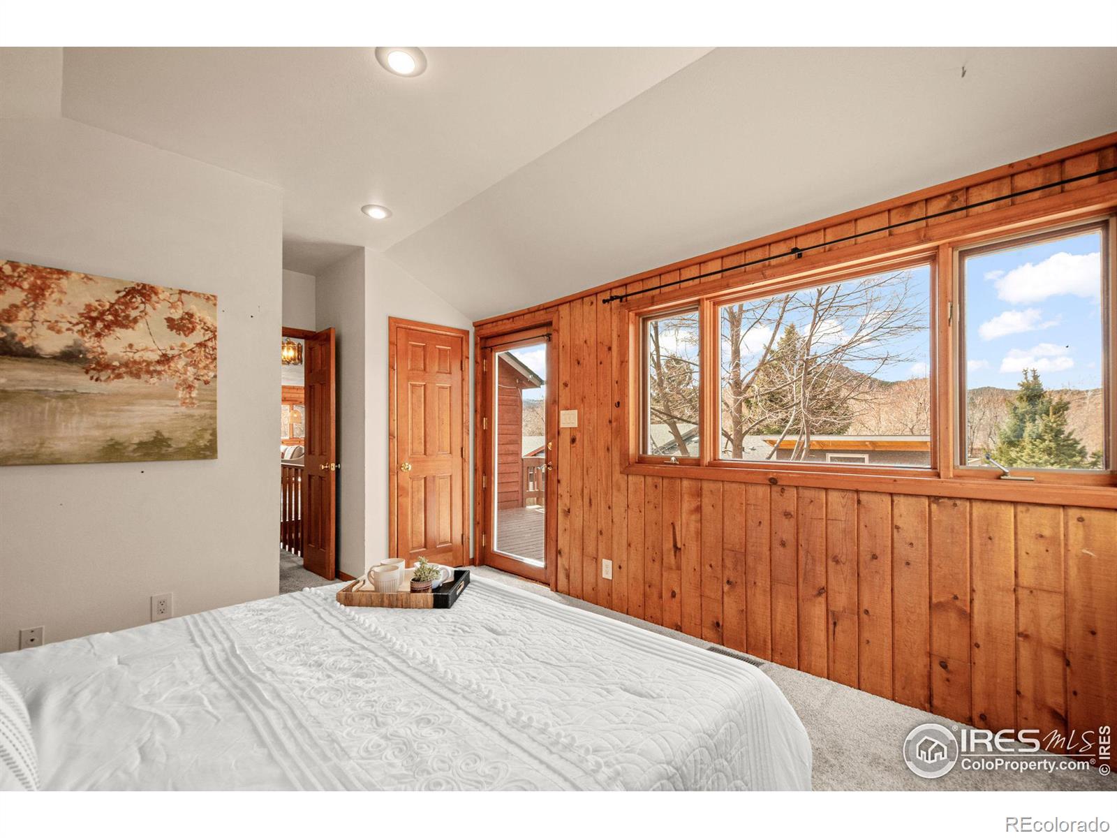 MLS Image #21 for 220  stickney avenue,lyons, Colorado