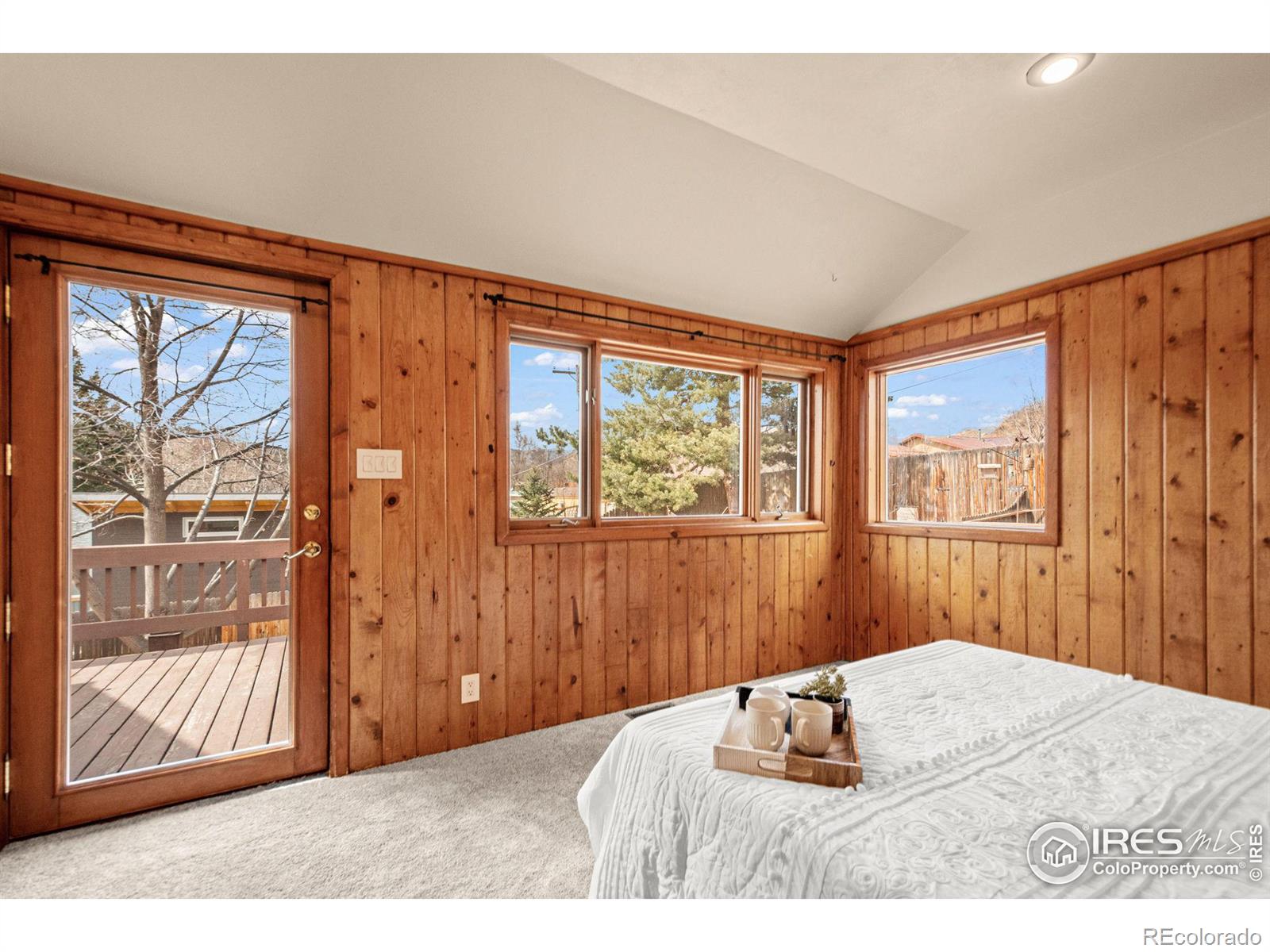 MLS Image #22 for 220  stickney avenue,lyons, Colorado