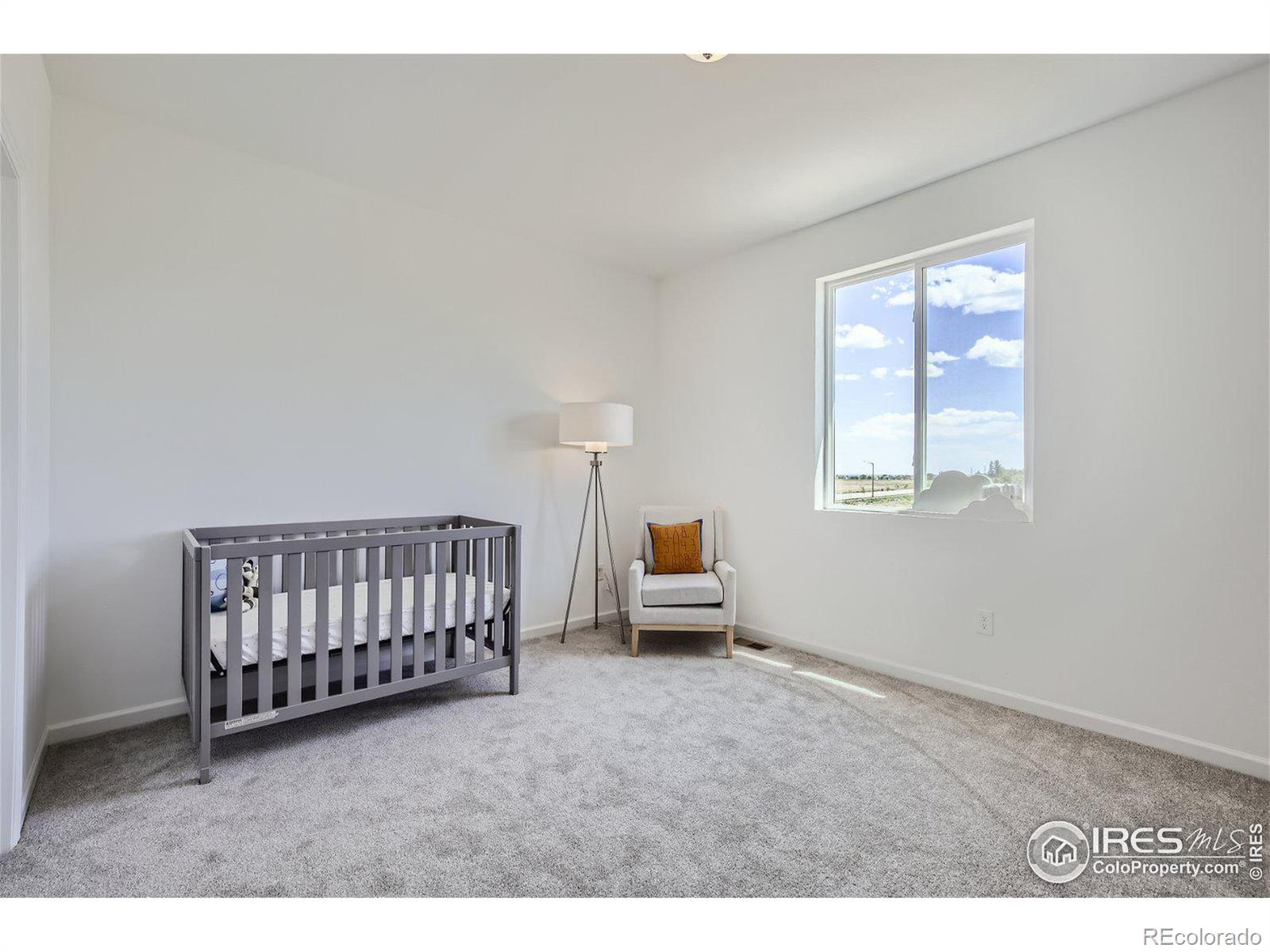 MLS Image #19 for 1844  cord grass drive,fort collins, Colorado