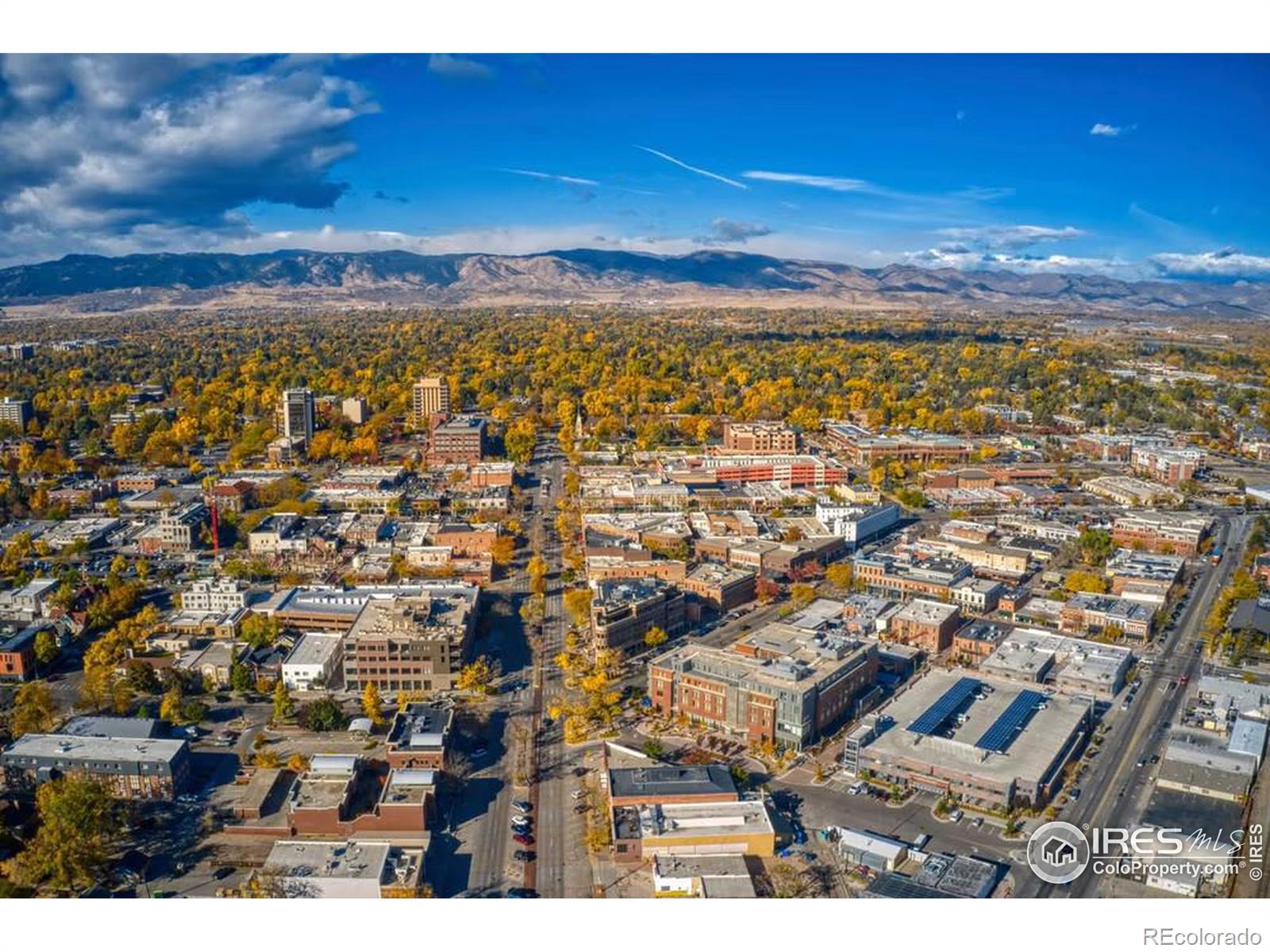 MLS Image #31 for 1844  cord grass drive,fort collins, Colorado