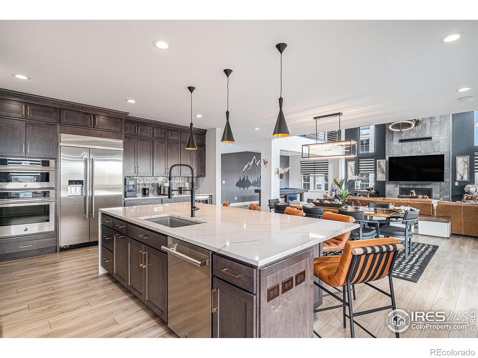 MLS Image #8 for 3564  doubletrack lane,castle rock, Colorado