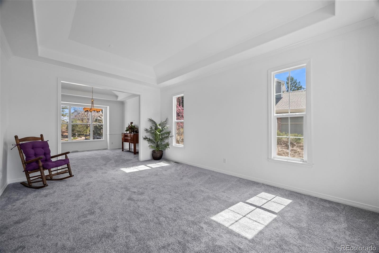 MLS Image #19 for 1496  meyerwood circle,highlands ranch, Colorado