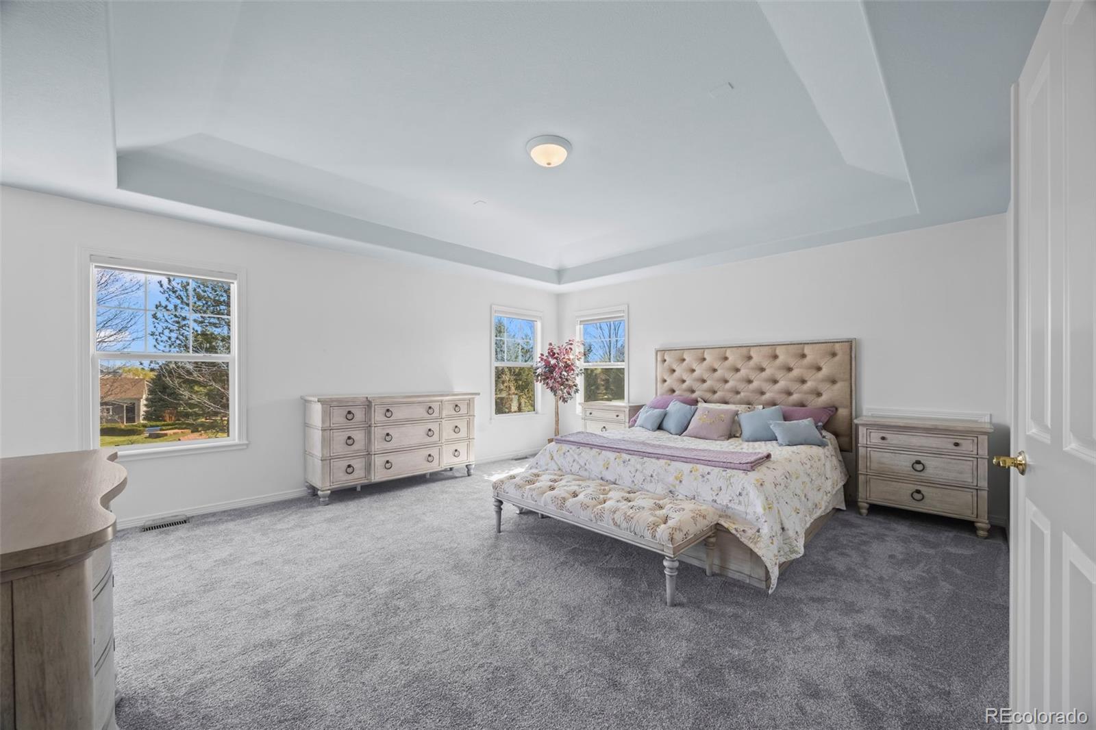 MLS Image #24 for 1496  meyerwood circle,highlands ranch, Colorado