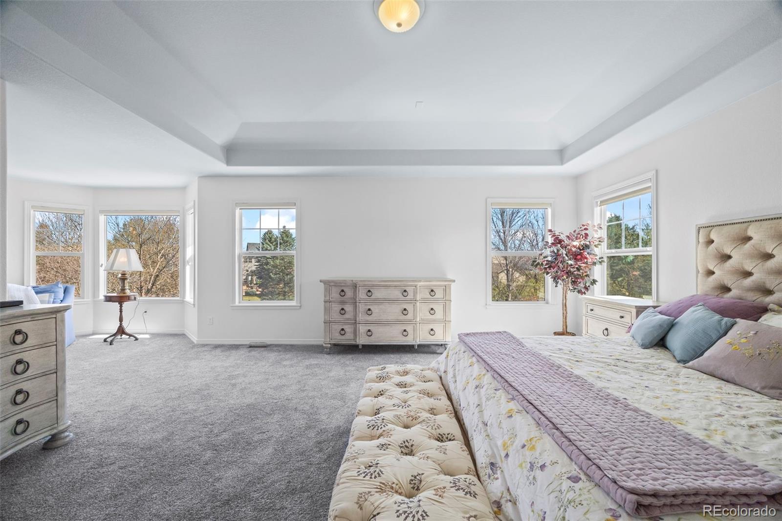 MLS Image #25 for 1496  meyerwood circle,highlands ranch, Colorado