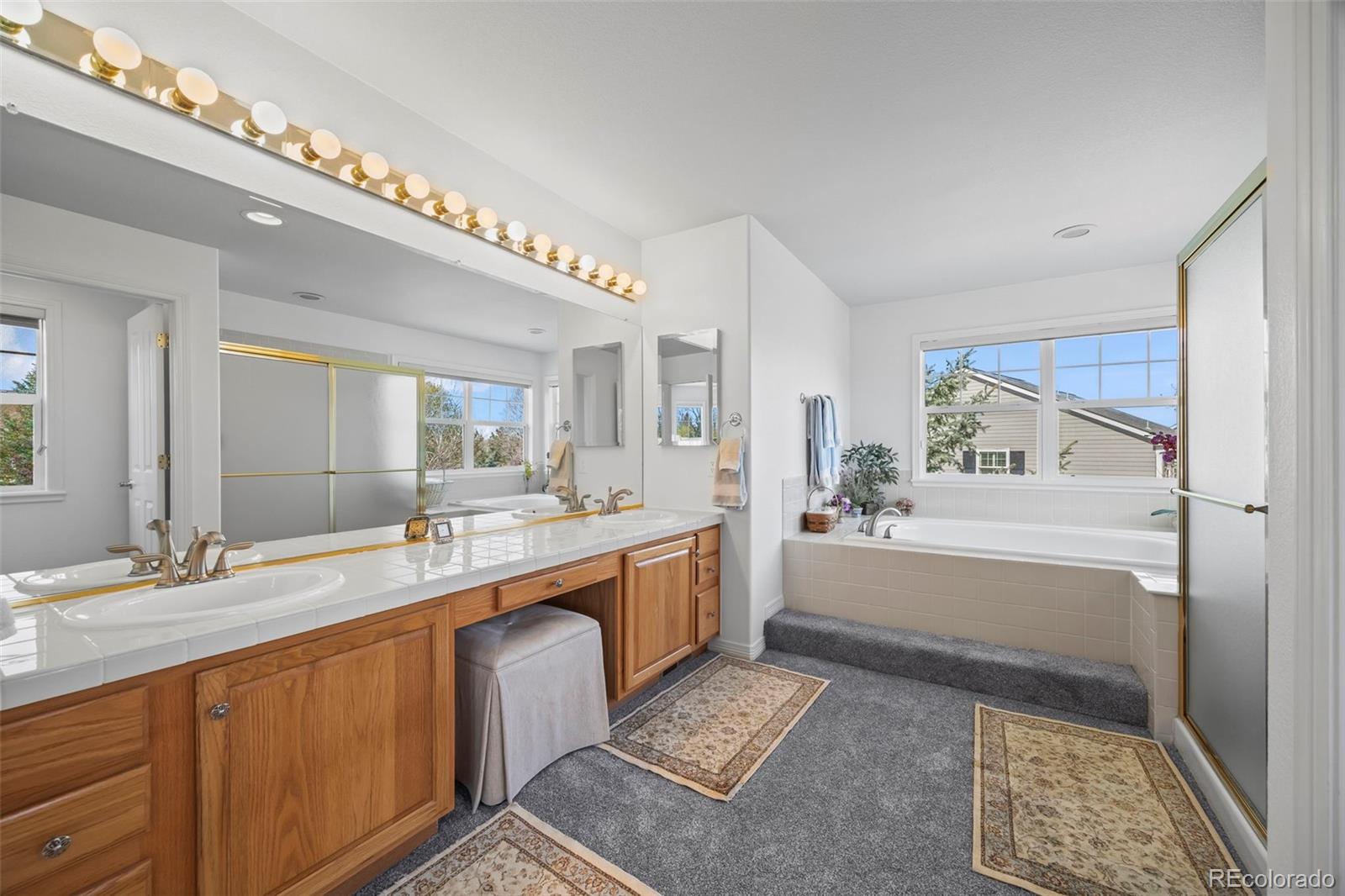 MLS Image #27 for 1496  meyerwood circle,highlands ranch, Colorado