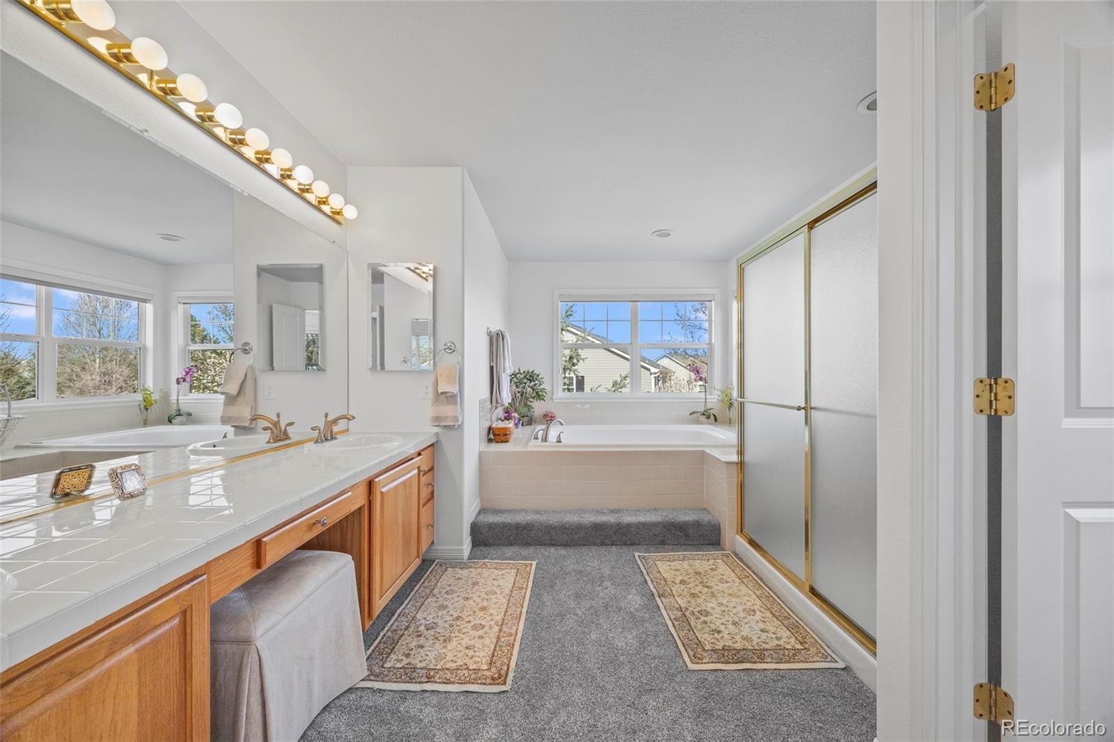 MLS Image #28 for 1496  meyerwood circle,highlands ranch, Colorado