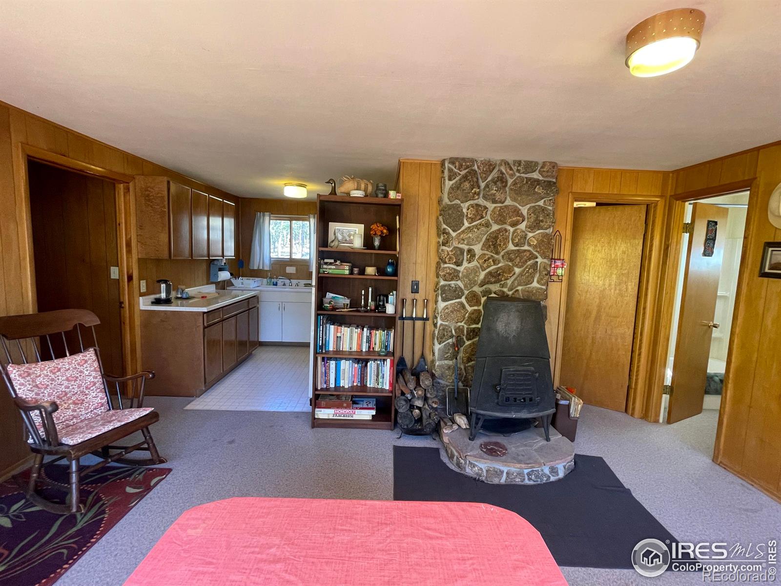 MLS Image #3 for 74  vera marie lane,rollinsville, Colorado