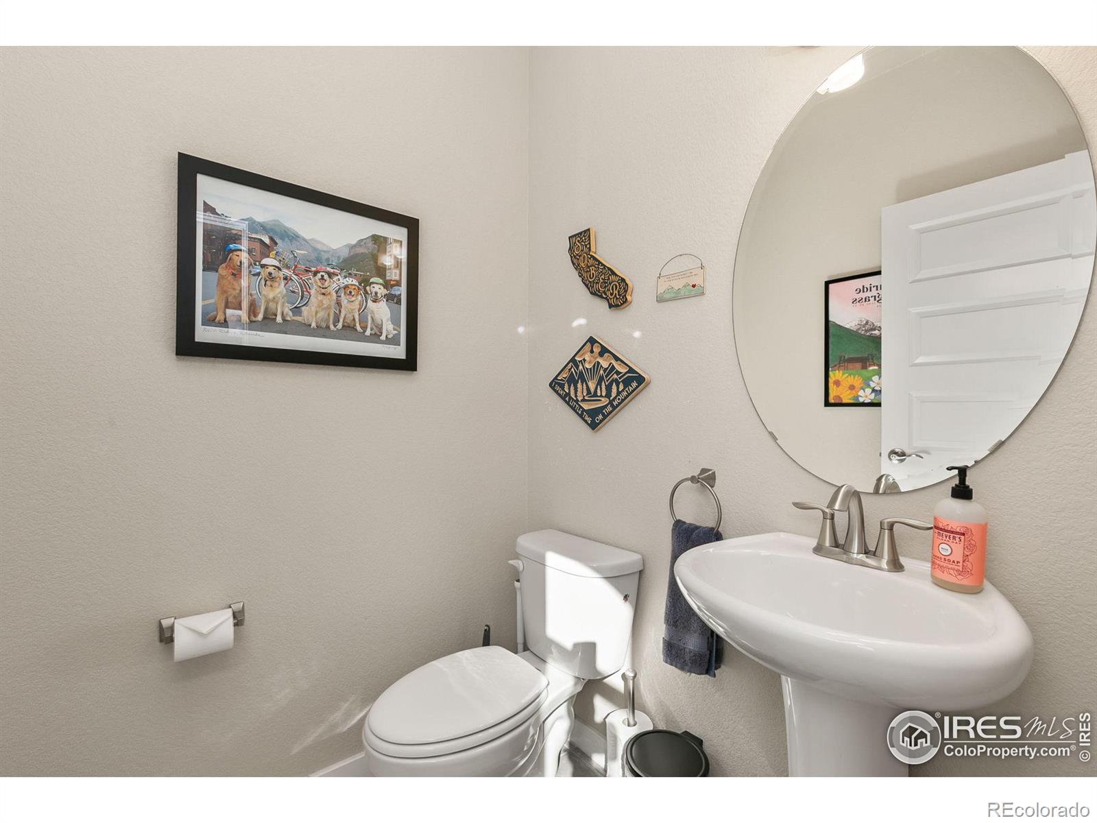MLS Image #16 for 6018  clarence drive,windsor, Colorado