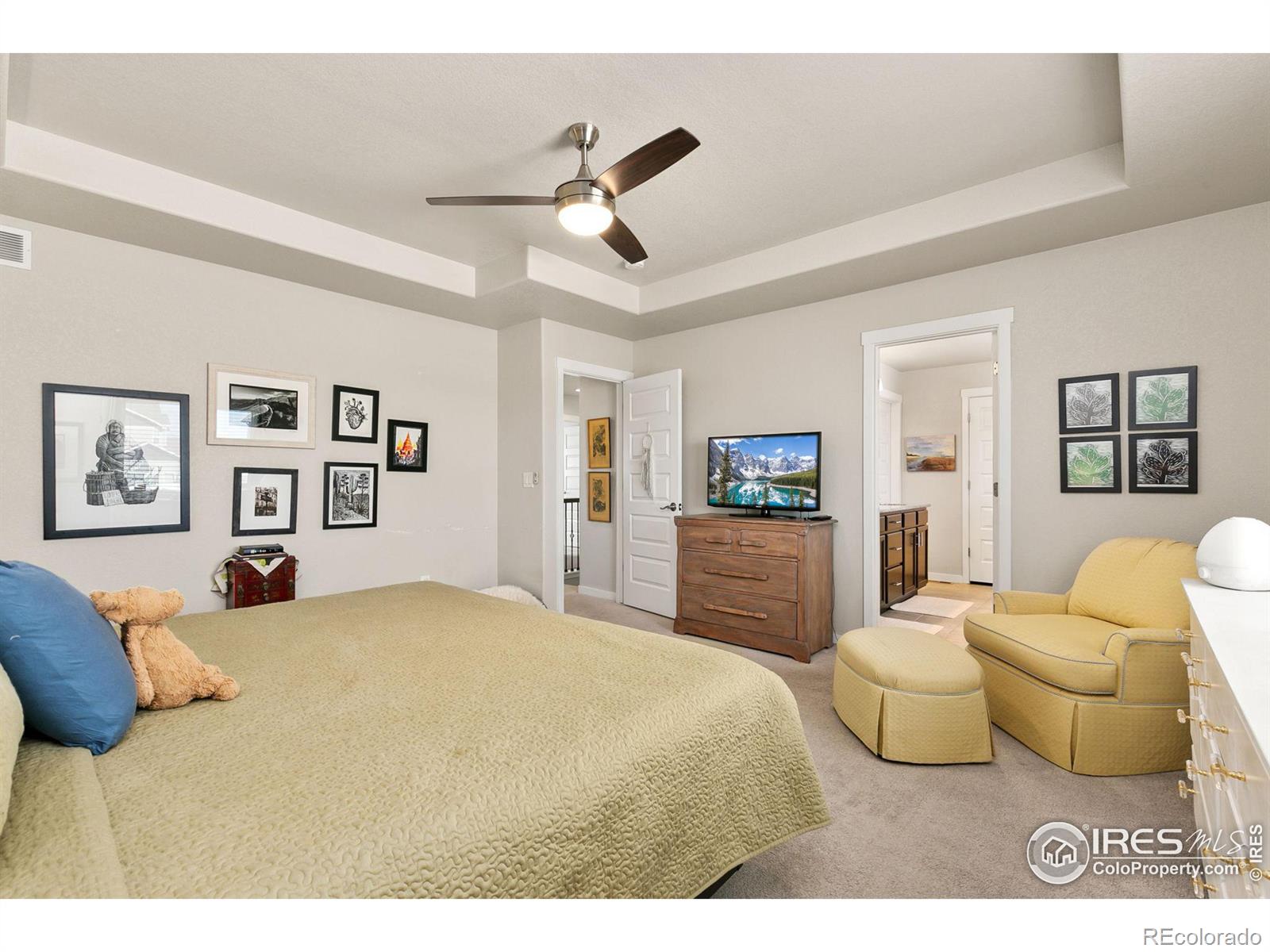 MLS Image #18 for 6018  clarence drive,windsor, Colorado