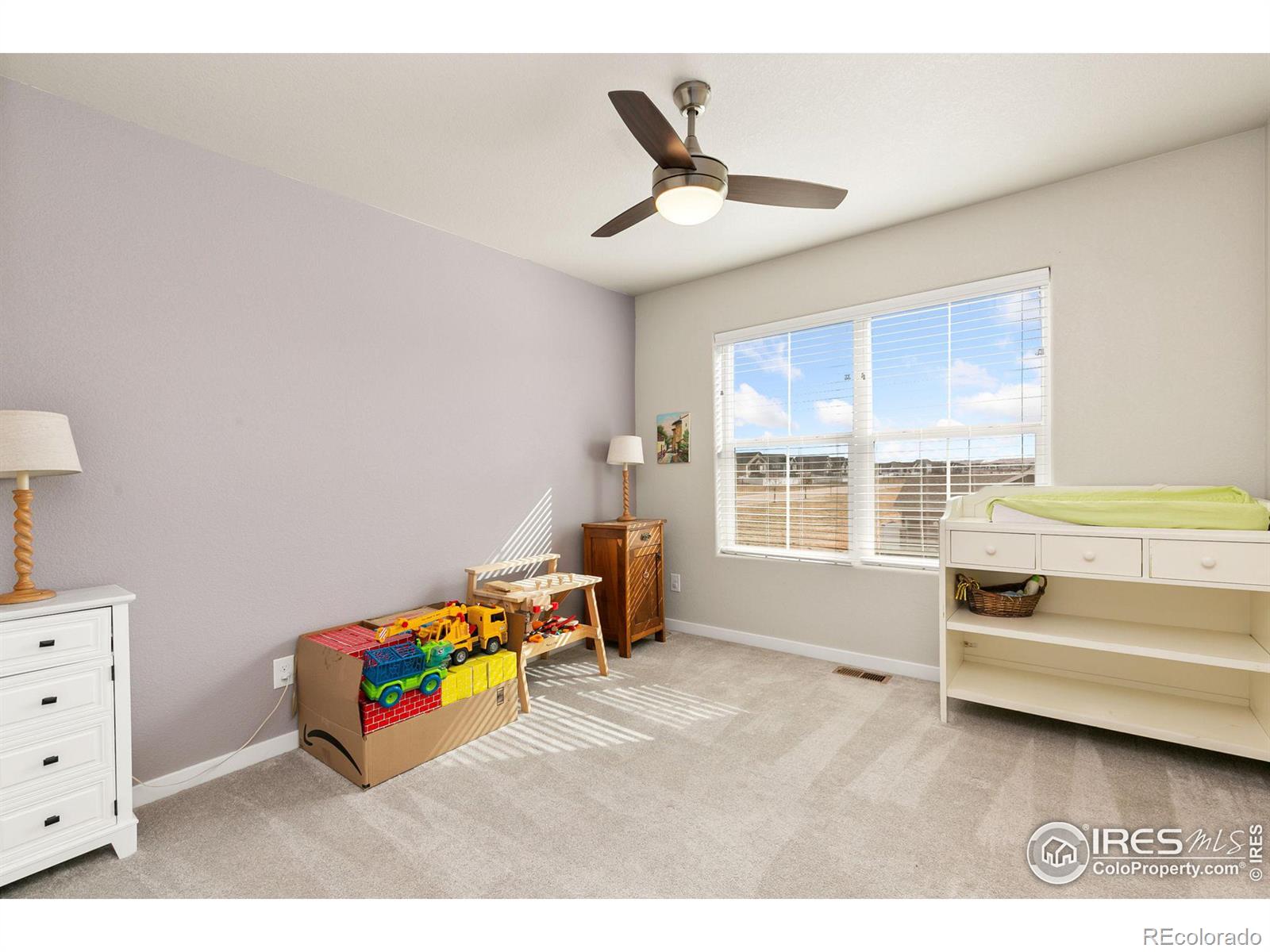MLS Image #22 for 6018  clarence drive,windsor, Colorado