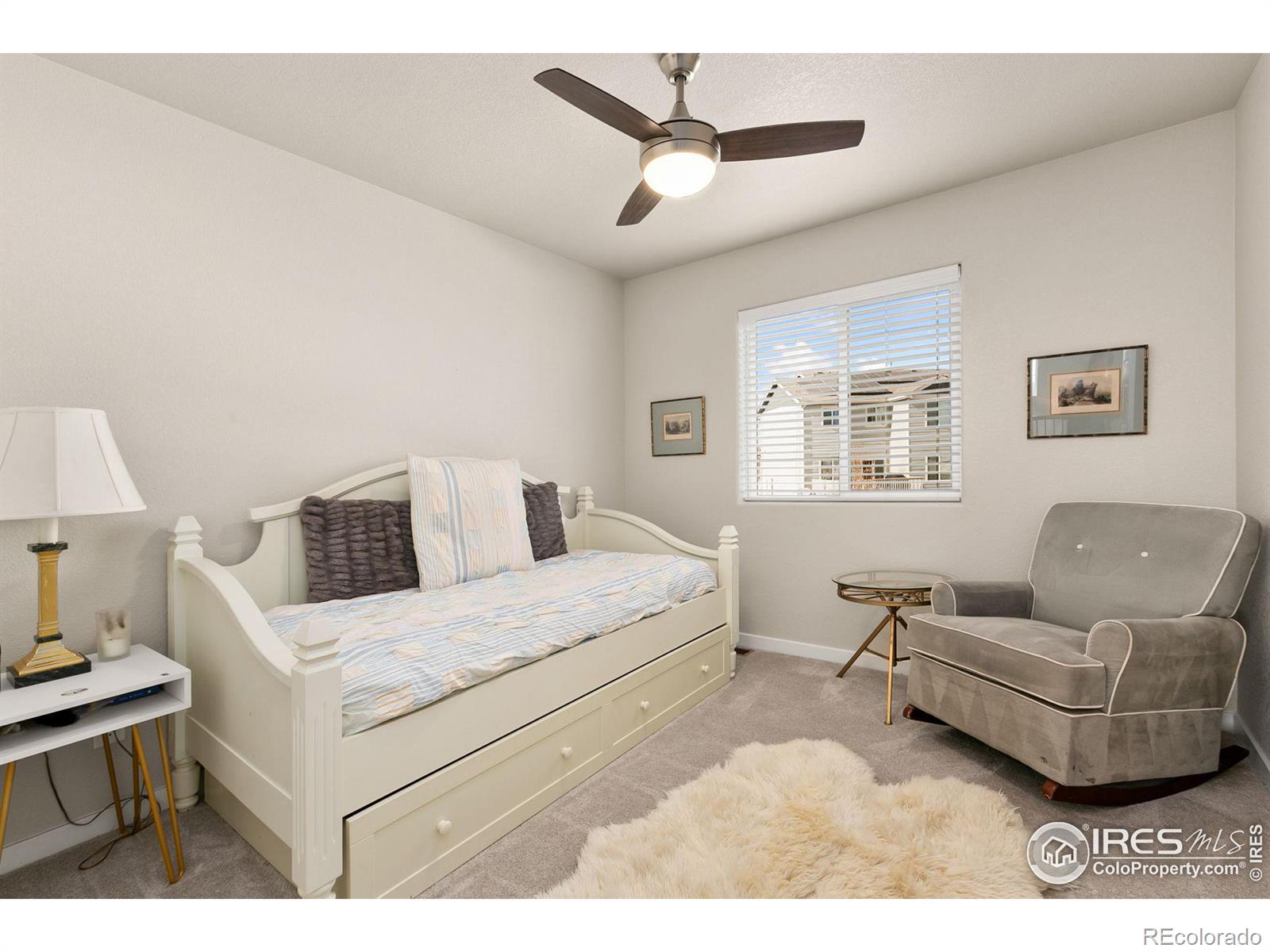 MLS Image #25 for 6018  clarence drive,windsor, Colorado