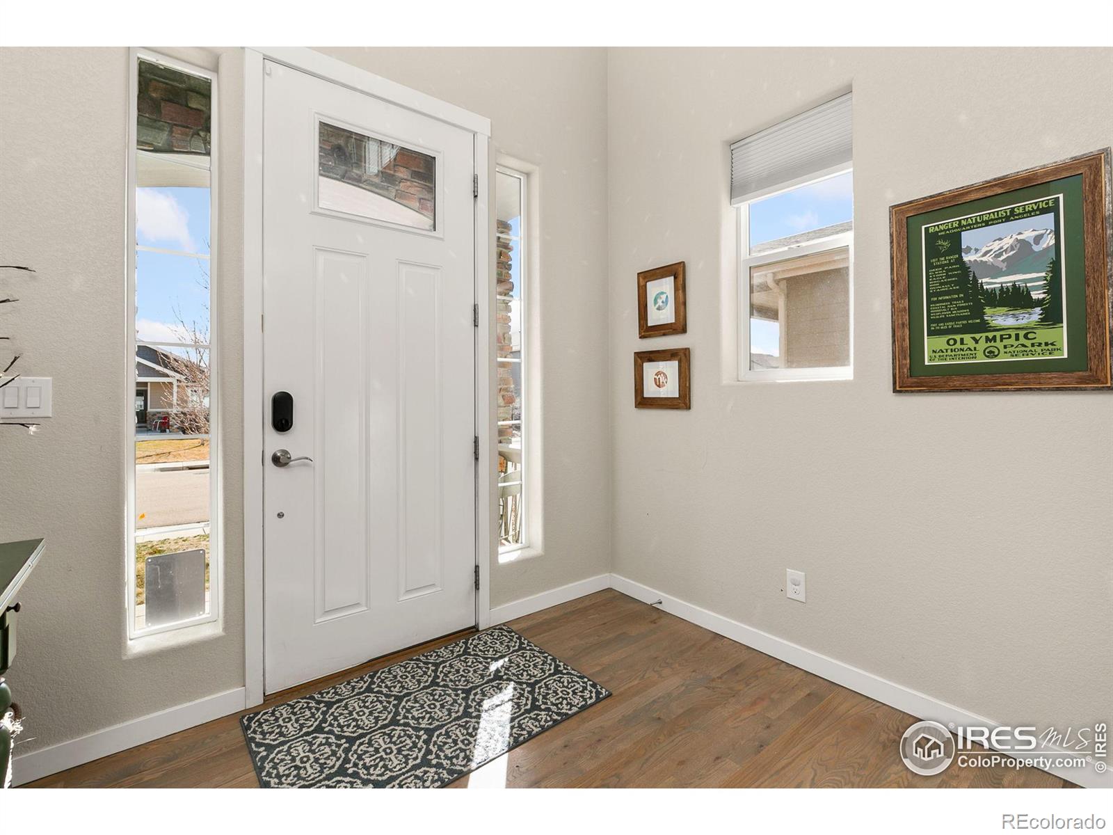 MLS Image #3 for 6018  clarence drive,windsor, Colorado