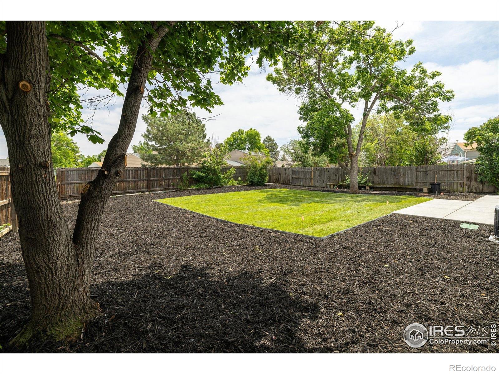 MLS Image #24 for 10792  moore street,broomfield, Colorado