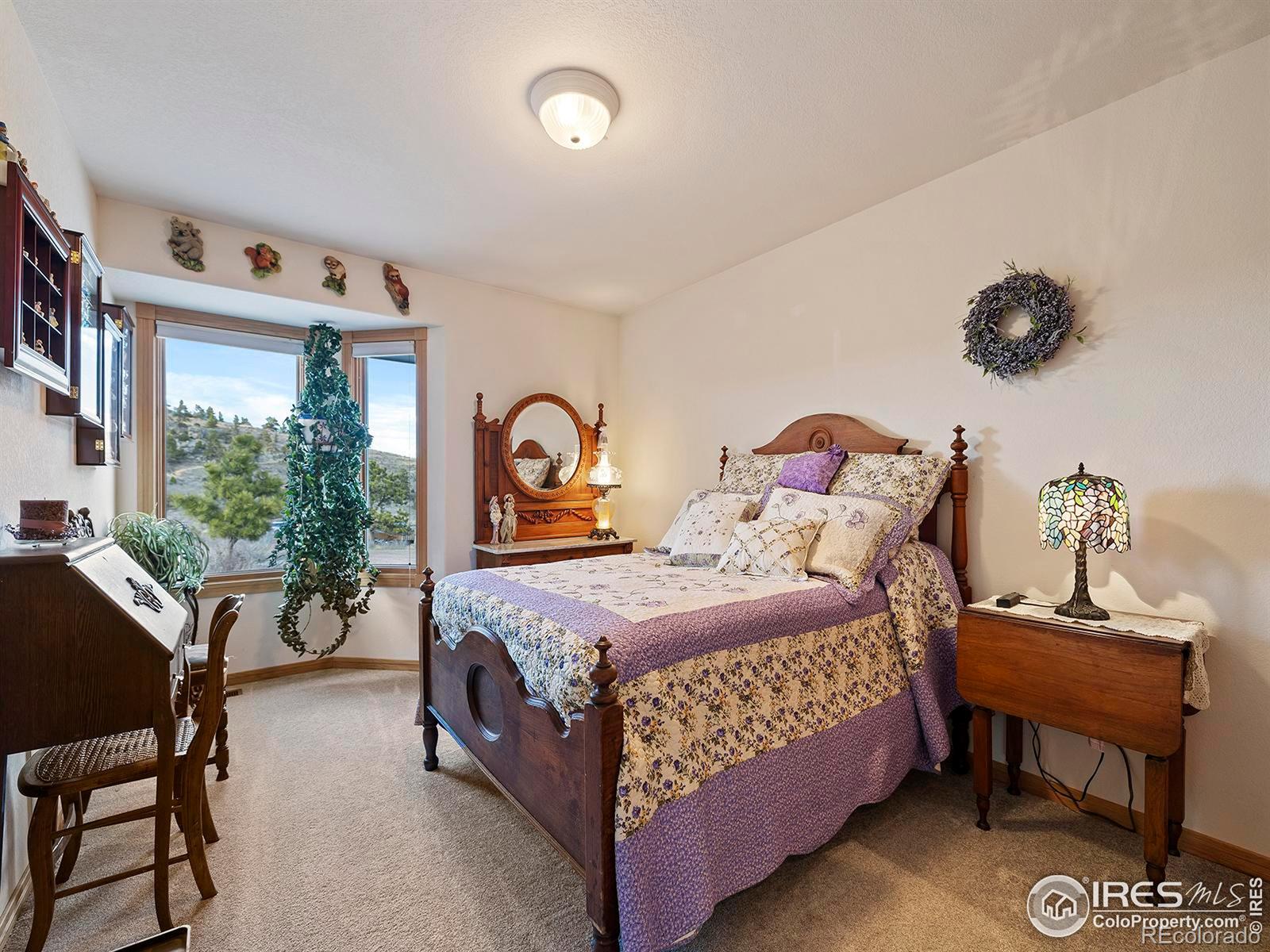 MLS Image #23 for 1  good ending place,livermore, Colorado