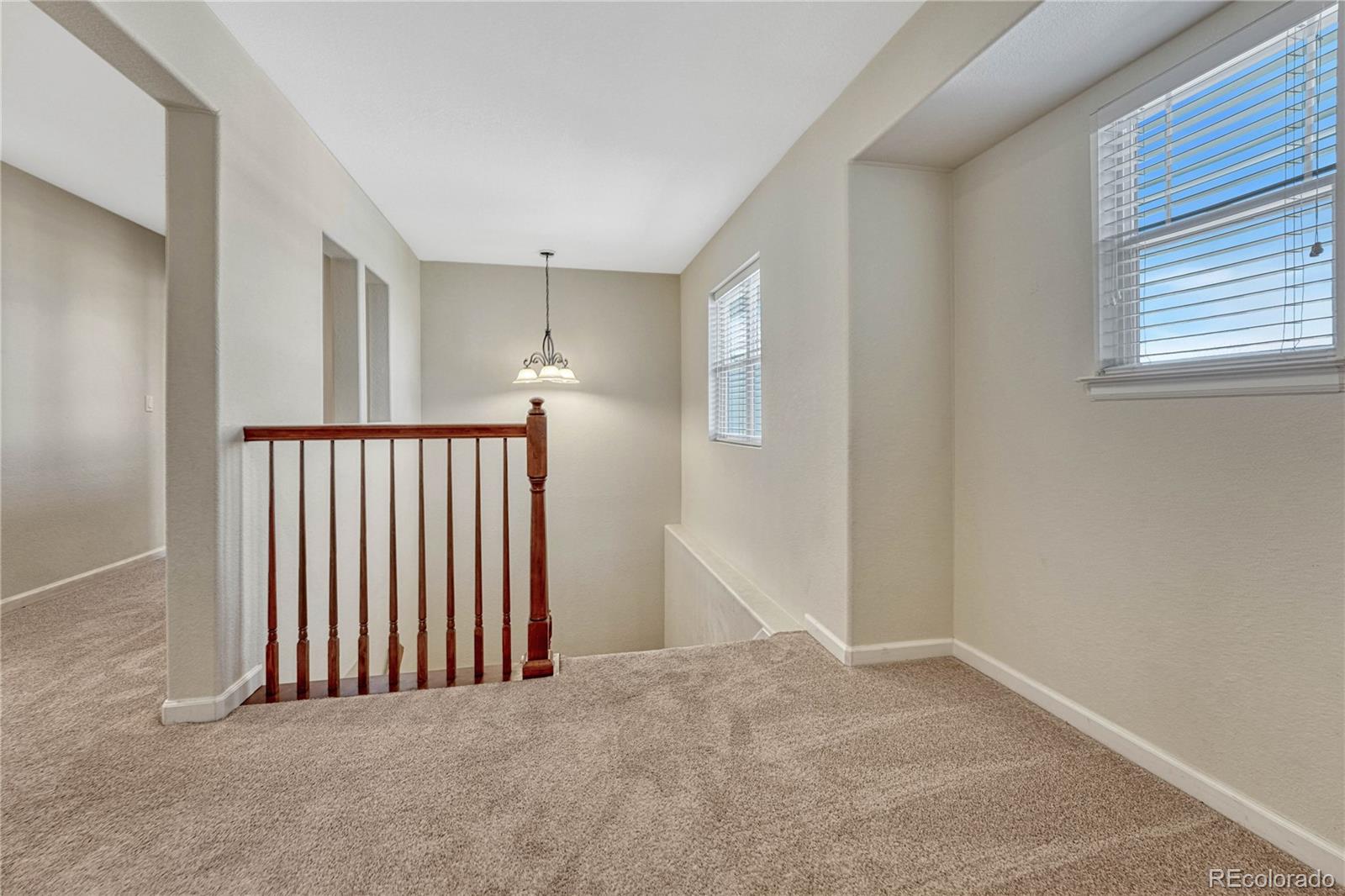 MLS Image #12 for 5078  zion court,castle rock, Colorado
