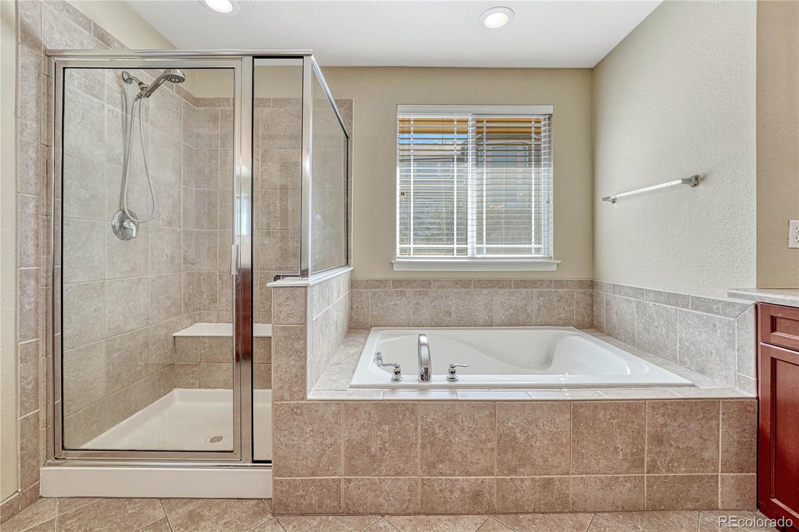 MLS Image #19 for 5078  zion court,castle rock, Colorado
