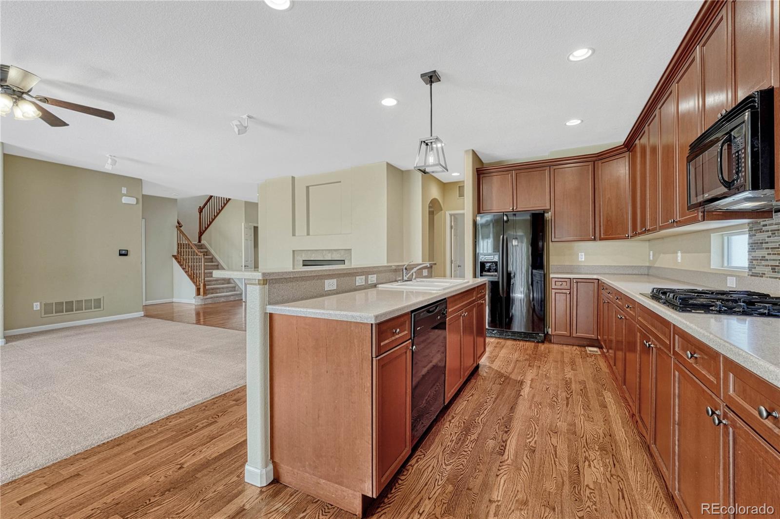 MLS Image #7 for 5078  zion court,castle rock, Colorado