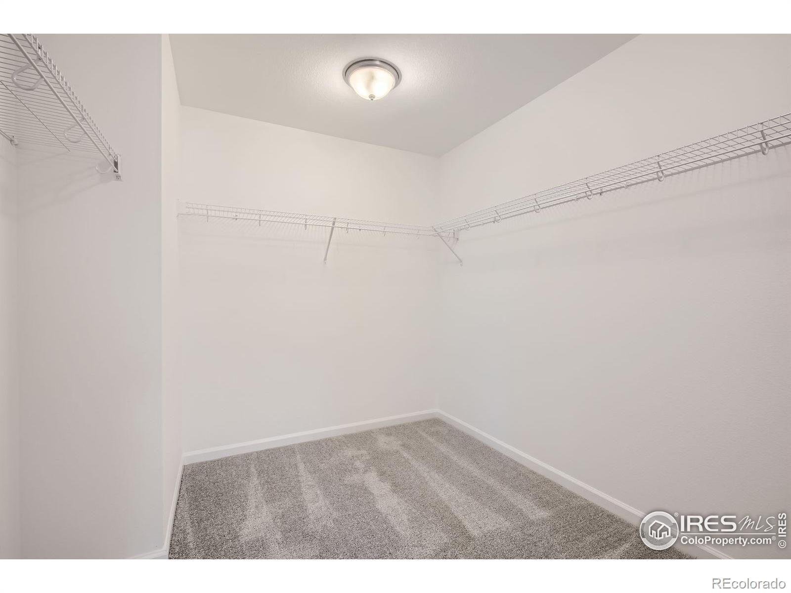 MLS Image #20 for 745  star grass lane,fort collins, Colorado