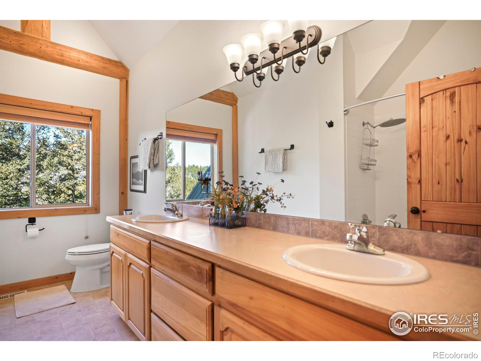 MLS Image #21 for 2322  dory hill road,black hawk, Colorado