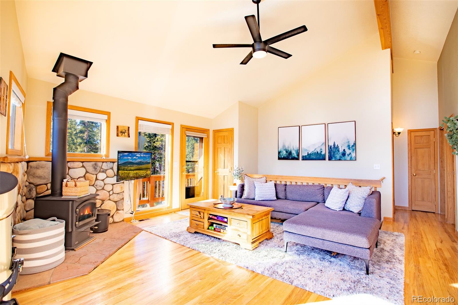 MLS Image #3 for 126  silverheels place,fairplay, Colorado