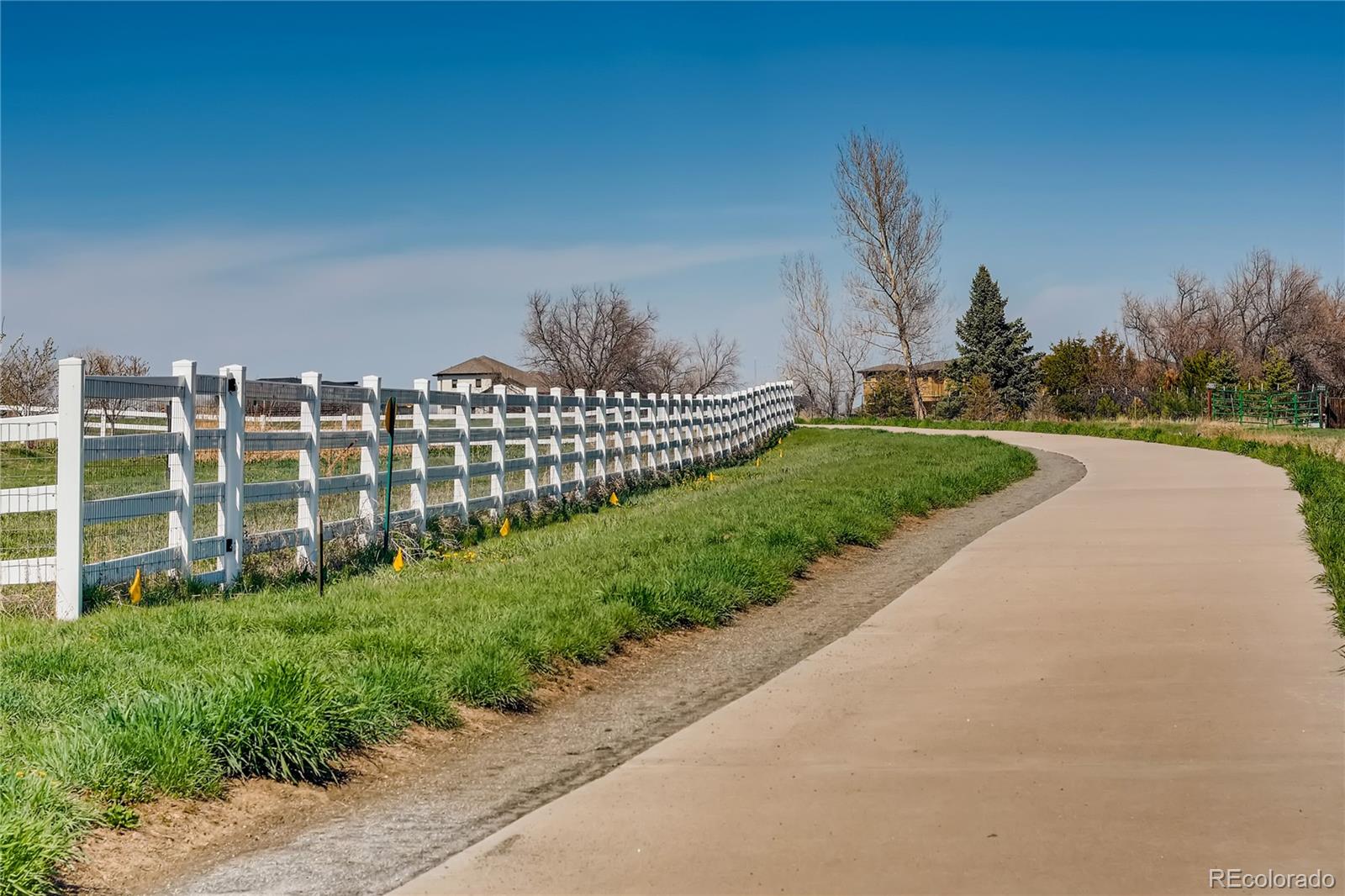 MLS Image #11 for 2635  spruce meadows drive,broomfield, Colorado